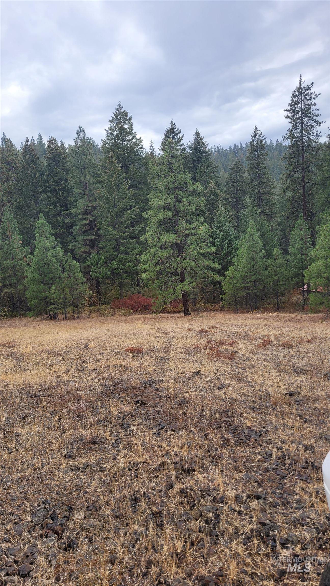 TBD Adams County, Council, Idaho 83612, Land For Sale, Price $299,000, 98962000