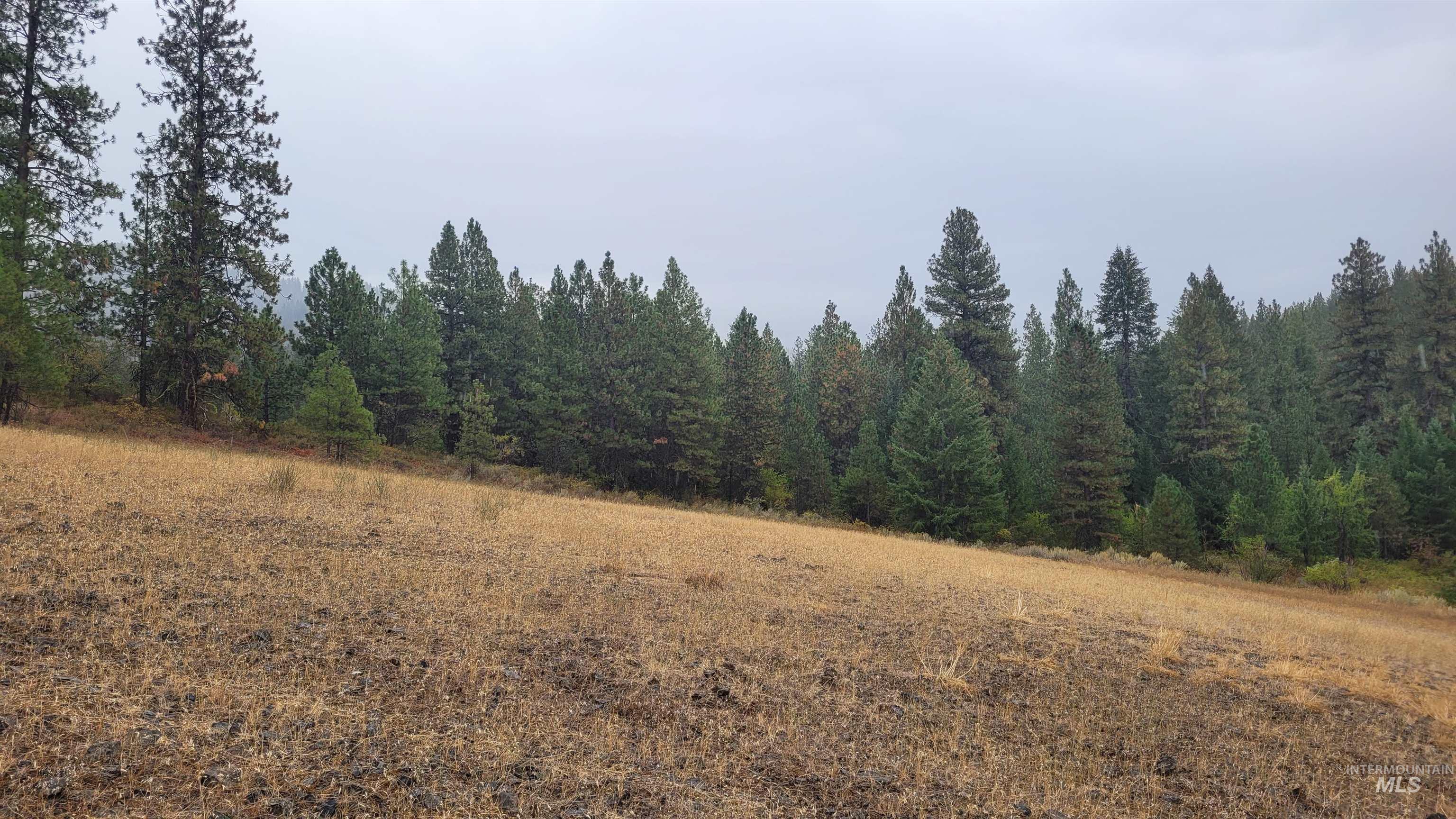 TBD Adams County, Council, Idaho 83612, Land For Sale, Price $299,000, 98962000