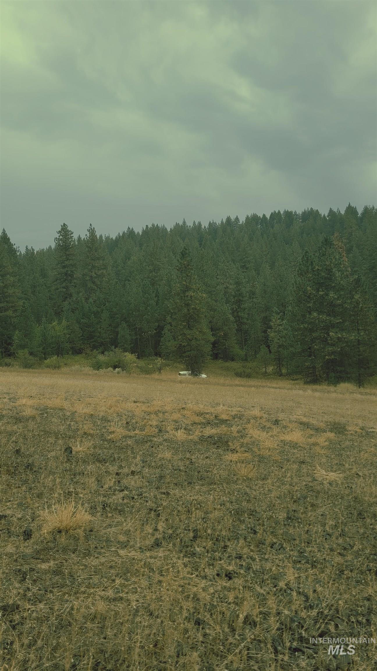 TBD Adams County, Council, Idaho 83612, Land For Sale, Price $299,000, 98962000