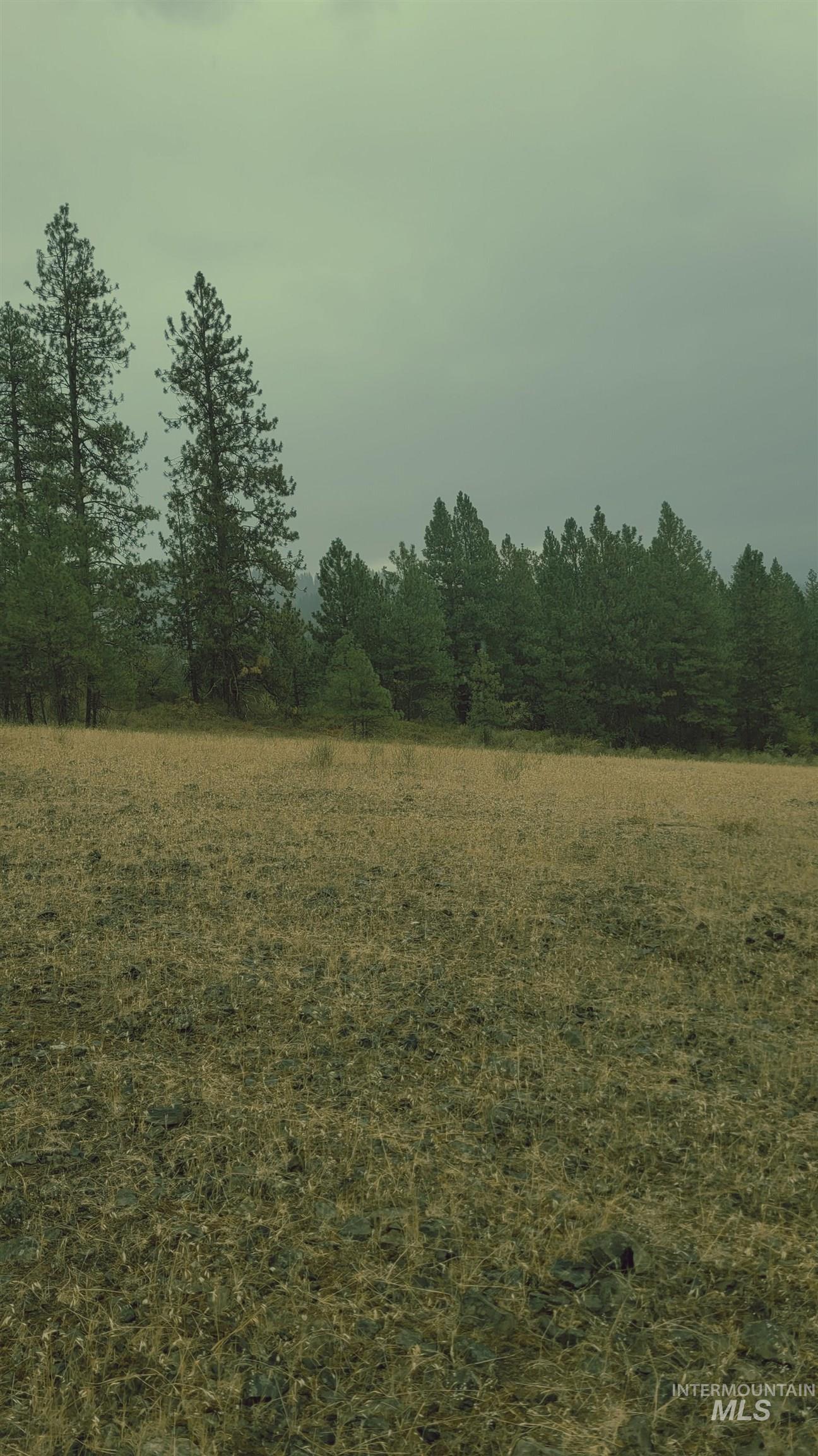 TBD Adams County, Council, Idaho 83612, Land For Sale, Price $299,000, 98962000