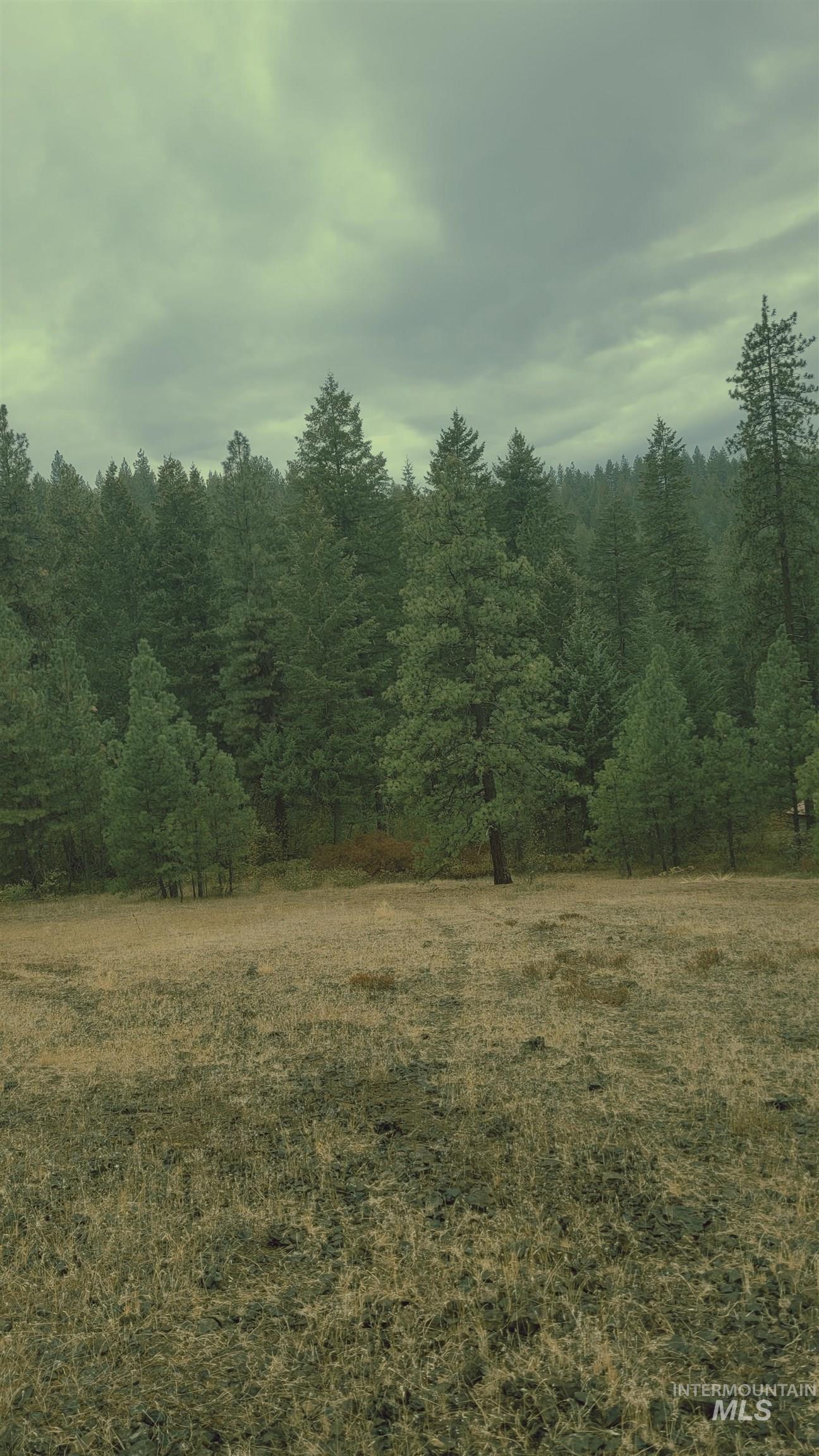 TBD Adams County, Council, Idaho 83612, Land For Sale, Price $299,000, 98962000