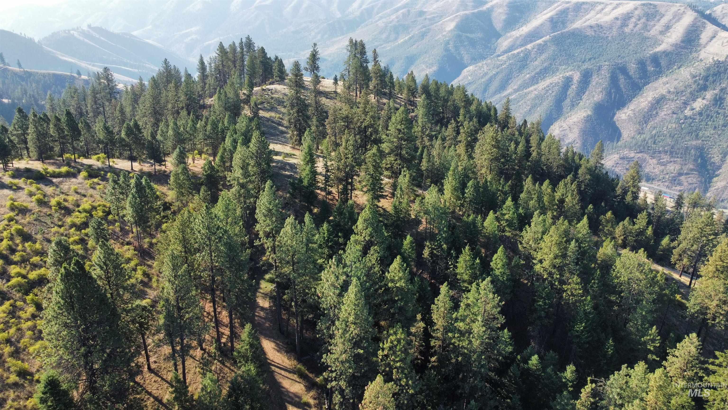 TBD Pardee Road, Kamiah, Idaho 83536, Land For Sale, Price $1,768,000,MLS 98962488