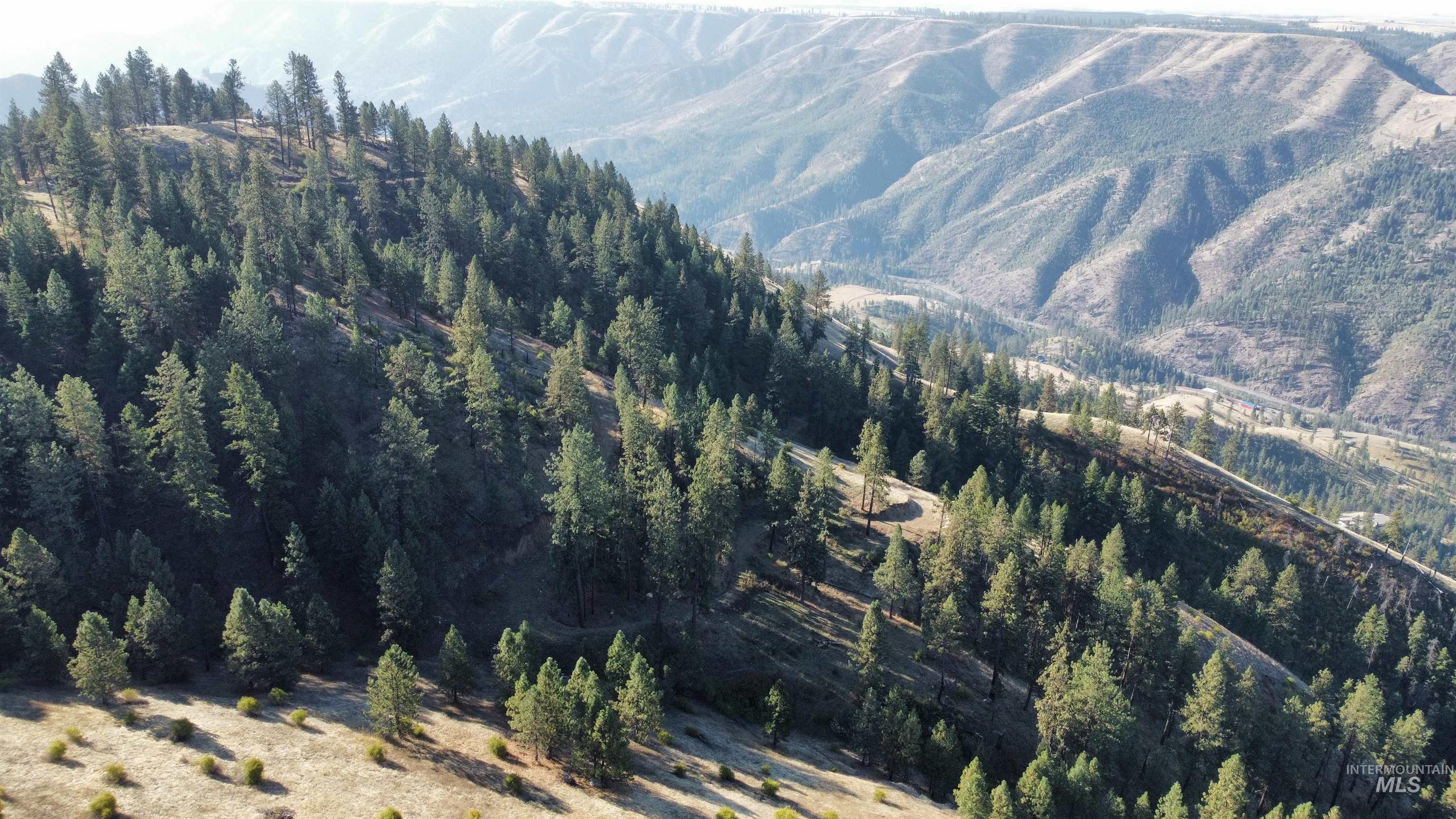 TBD Pardee Road, Kamiah, Idaho 83536, Land For Sale, Price $1,768,000,MLS 98962488