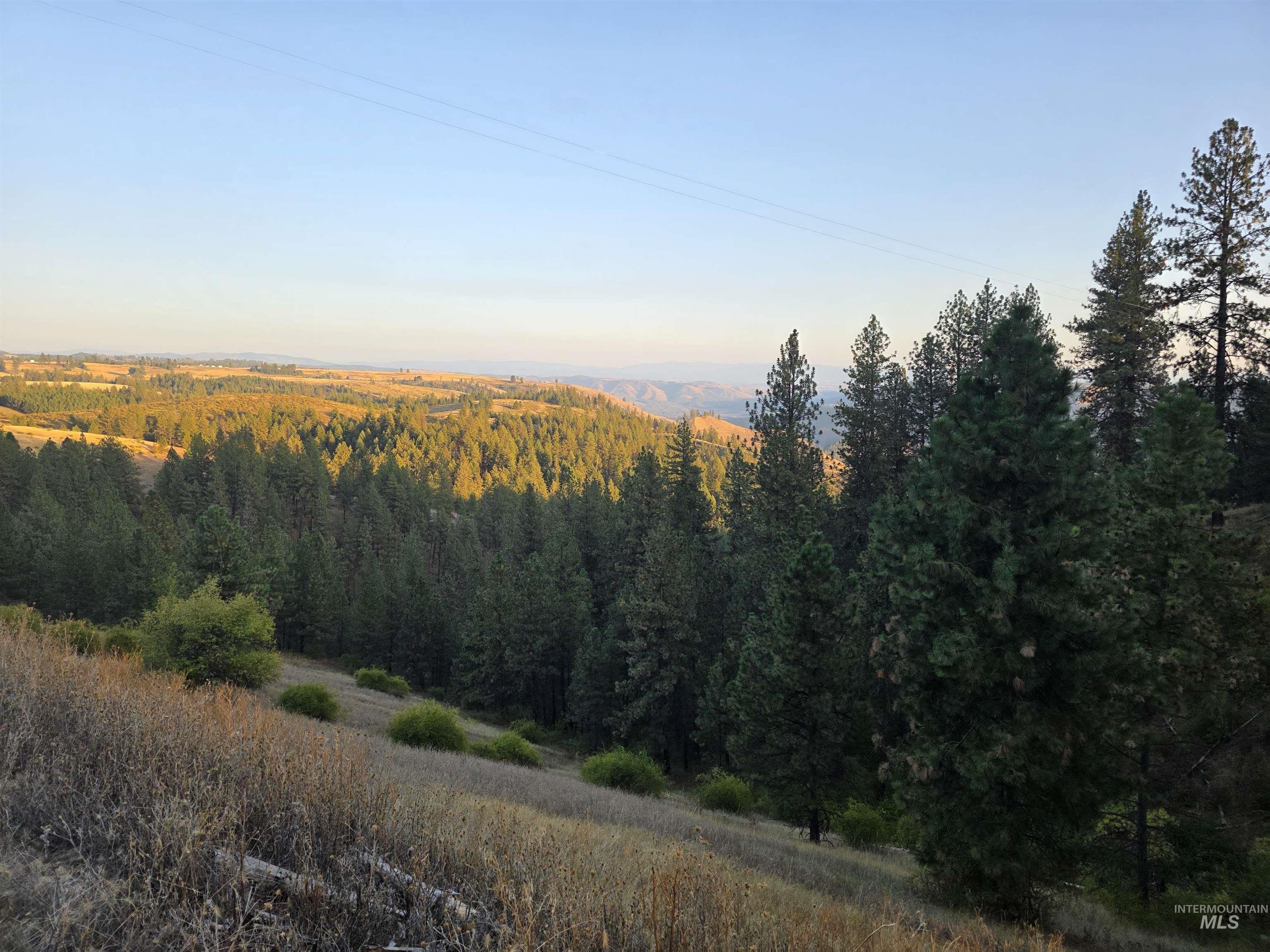 TBD Pardee Road, Kamiah, Idaho 83536, Land For Sale, Price $1,768,000,MLS 98962488