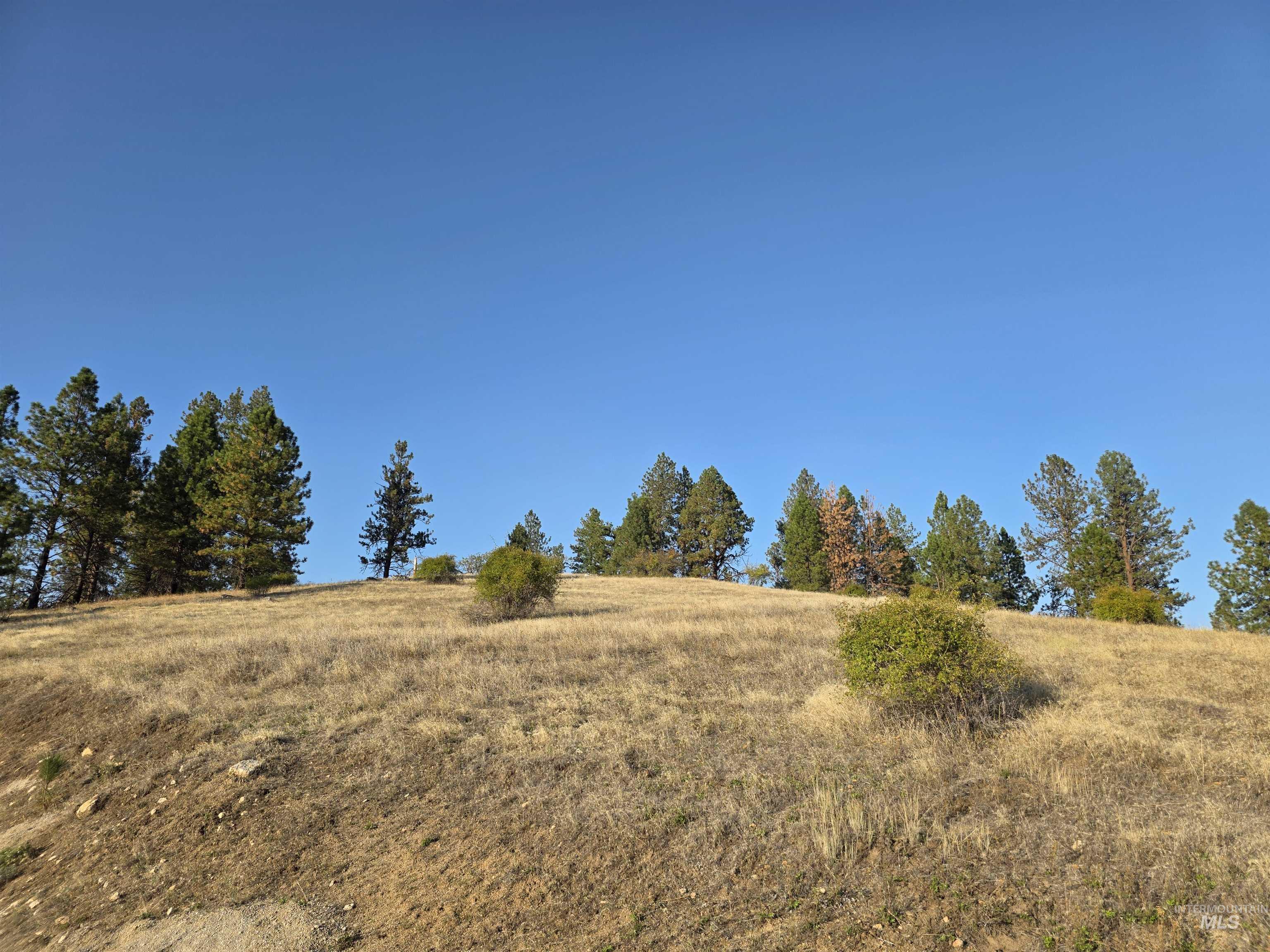 TBD Pardee Road, Kamiah, Idaho 83536, Land For Sale, Price $1,768,000,MLS 98962488