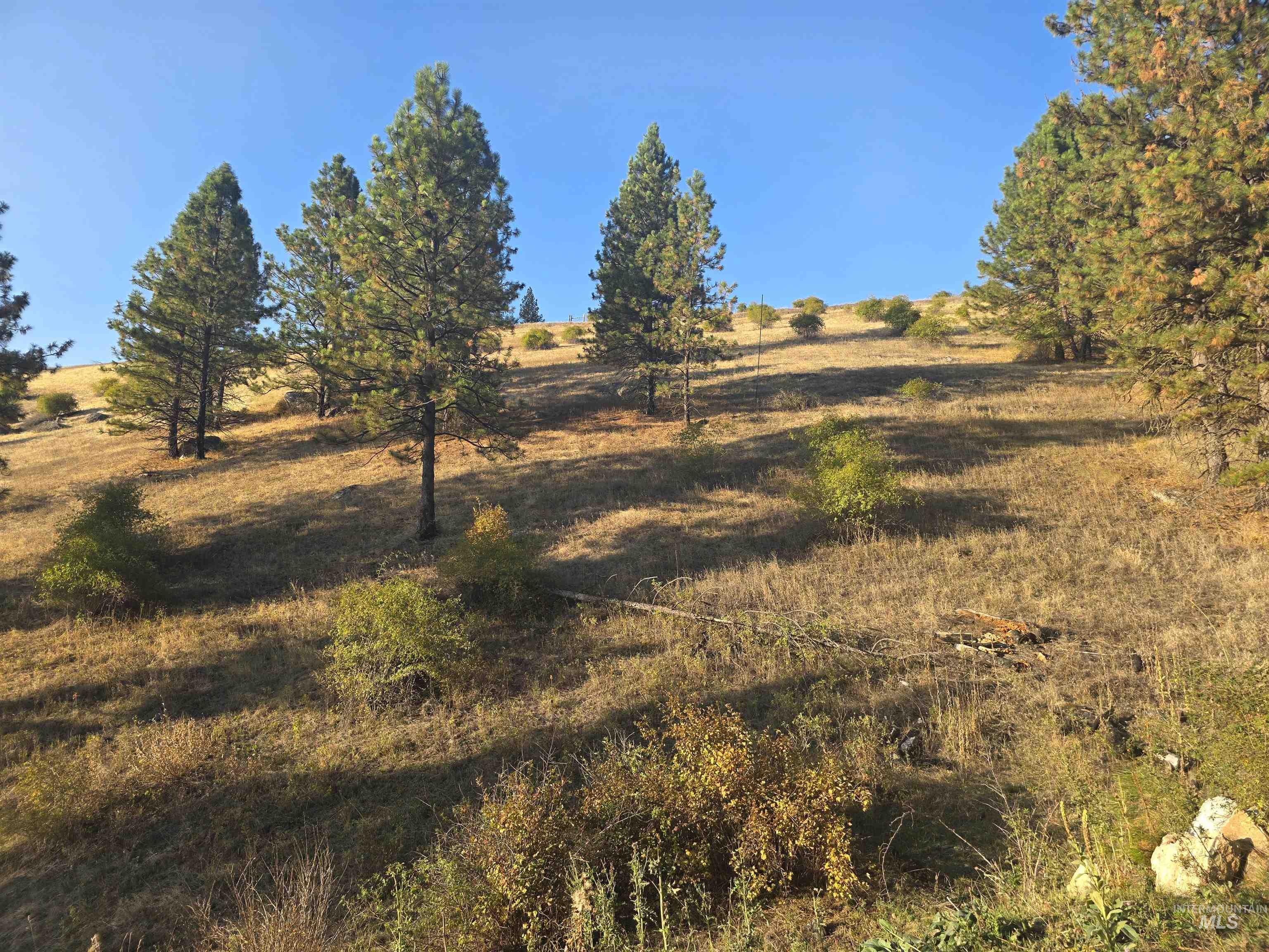 TBD Pardee Road, Kamiah, Idaho 83536, Land For Sale, Price $1,768,000,MLS 98962488