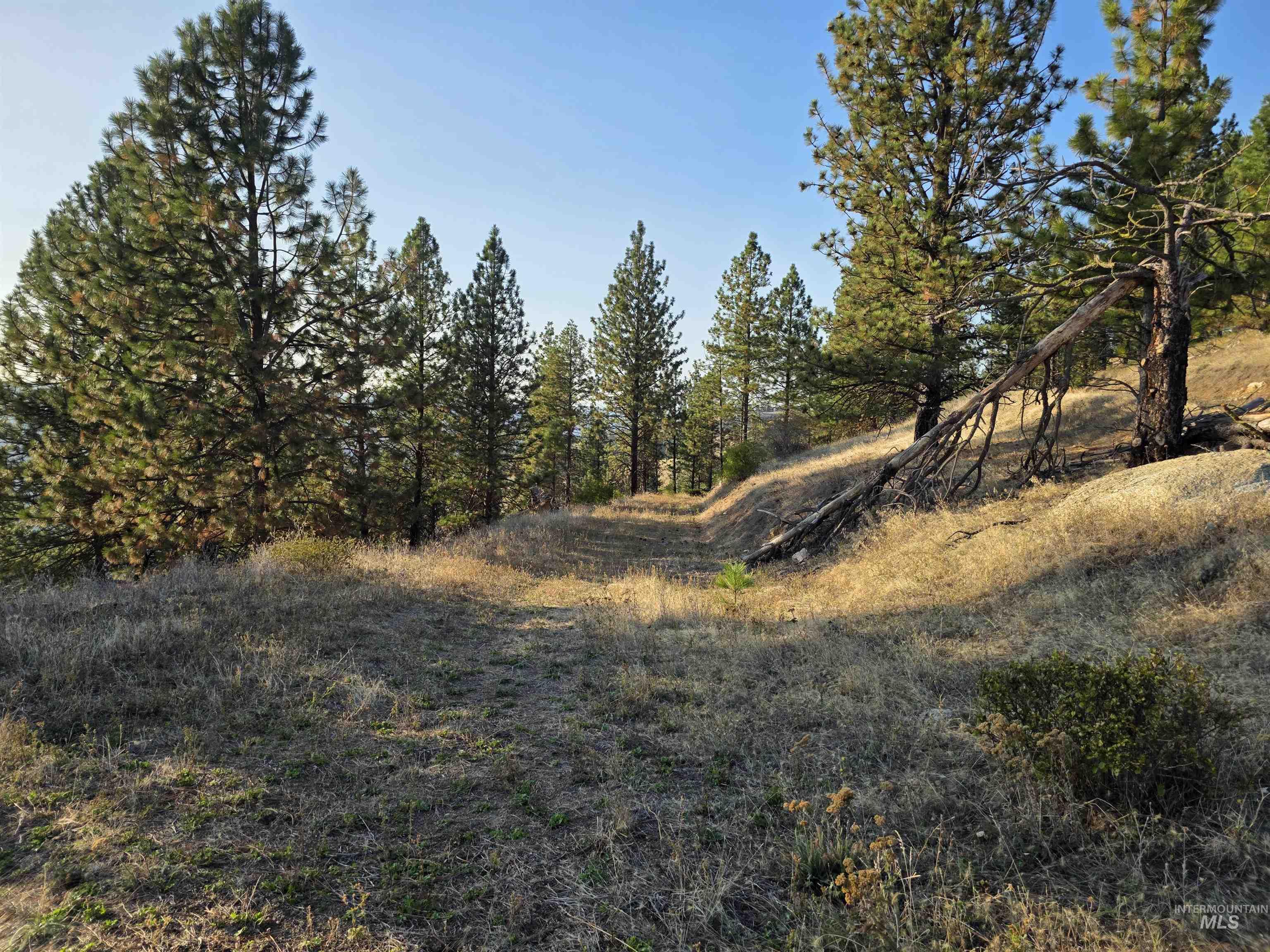 TBD Pardee Road, Kamiah, Idaho 83536, Land For Sale, Price $1,768,000,MLS 98962488