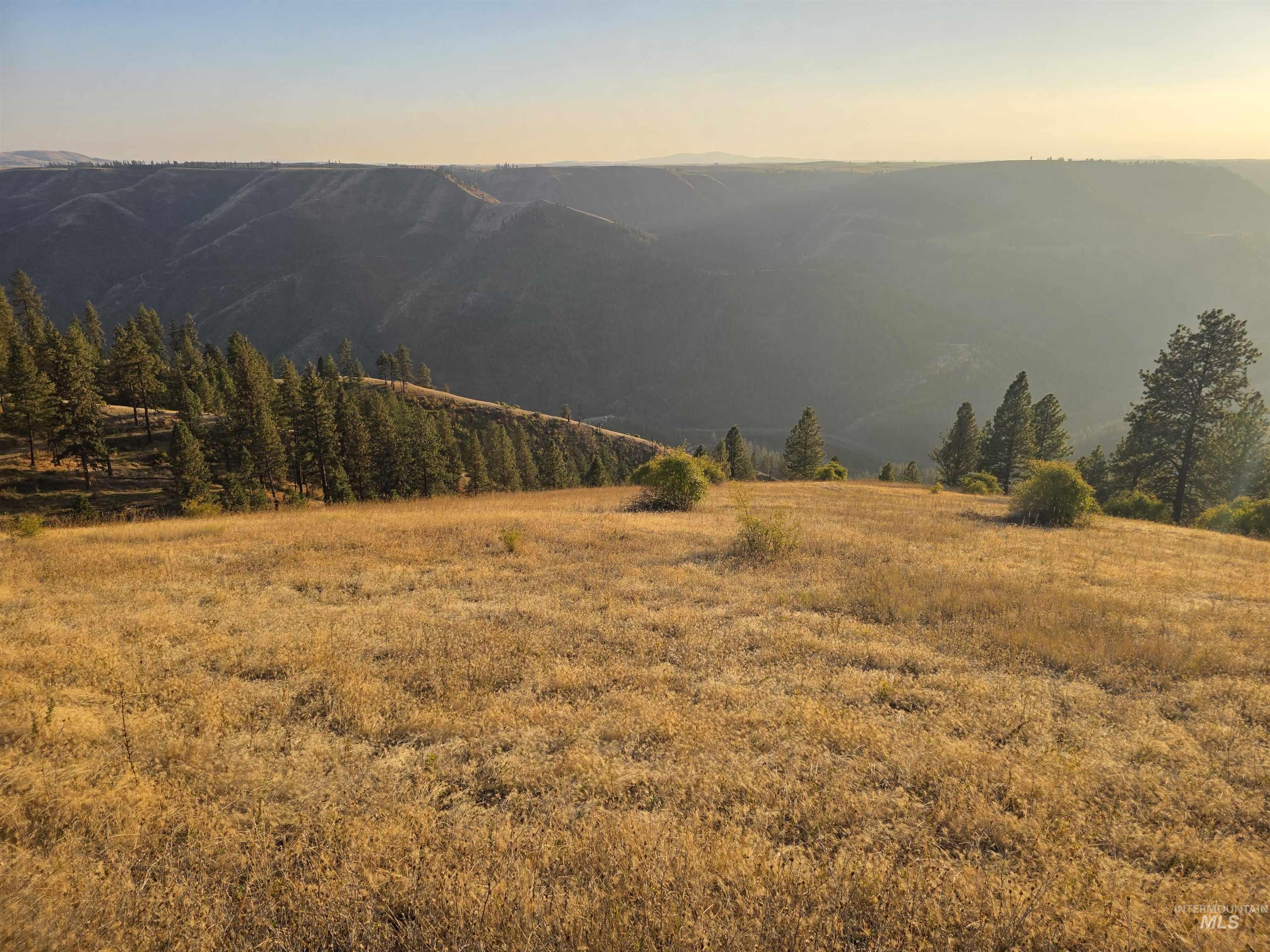 TBD Pardee Road, Kamiah, Idaho 83536, Land For Sale, Price $1,768,000,MLS 98962488