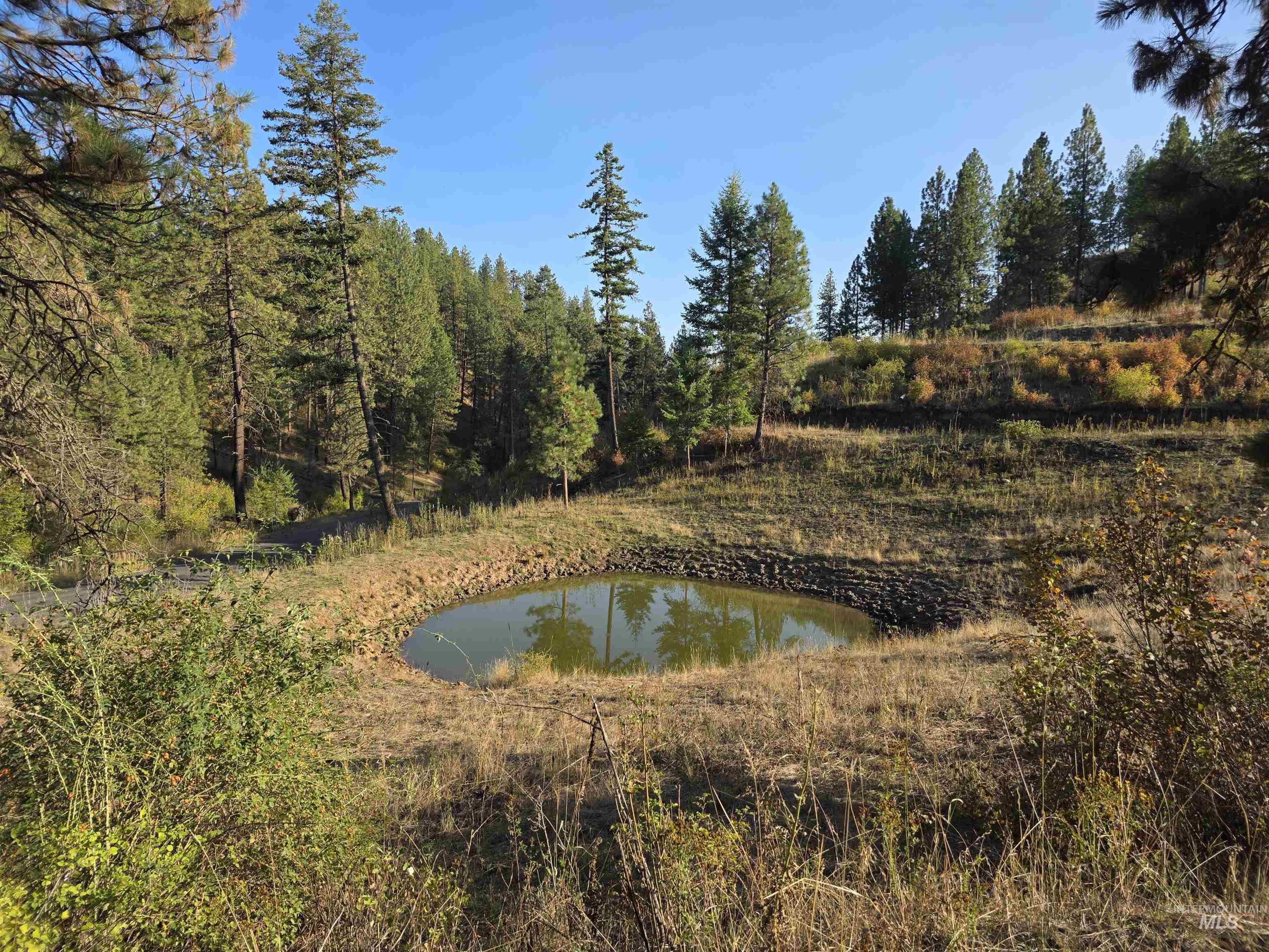 TBD Pardee Road, Kamiah, Idaho 83536, Land For Sale, Price $1,768,000,MLS 98962488
