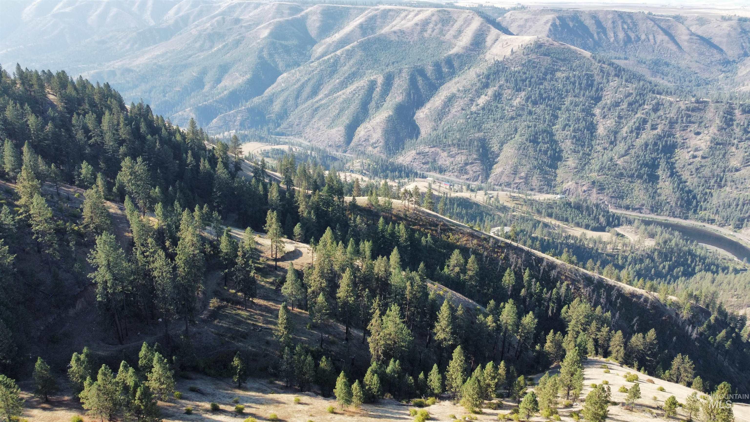 TBD Pardee Road, Kamiah, Idaho 83536, Land For Sale, Price $1,768,000,MLS 98962488