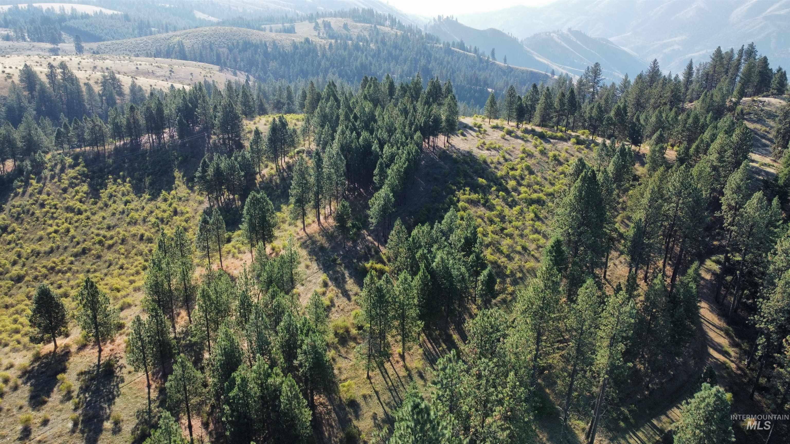 TBD Pardee Road, Kamiah, Idaho 83536, Land For Sale, Price $1,768,000,MLS 98962488