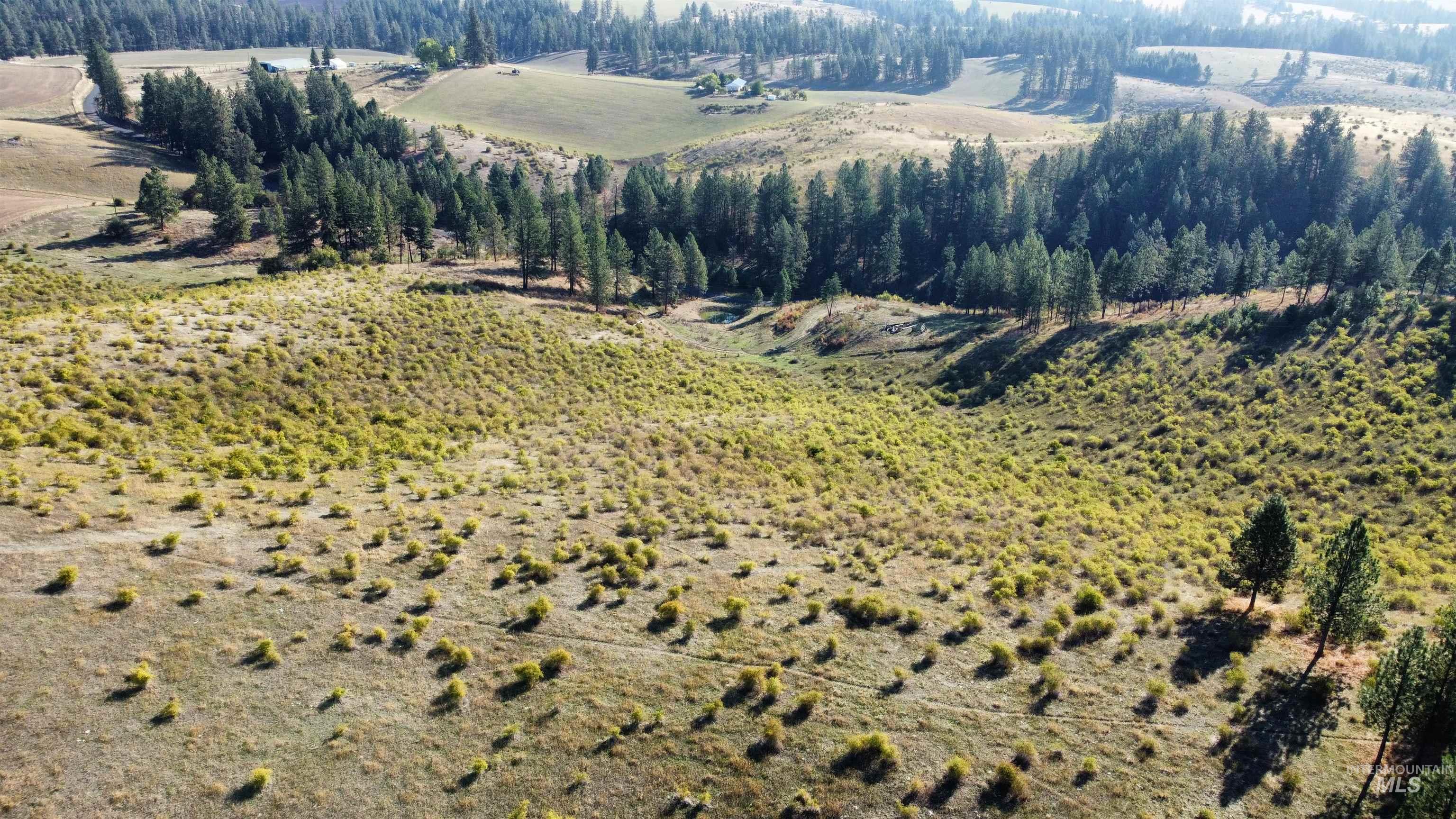 TBD Pardee Road, Kamiah, Idaho 83536, Land For Sale, Price $1,768,000,MLS 98962488