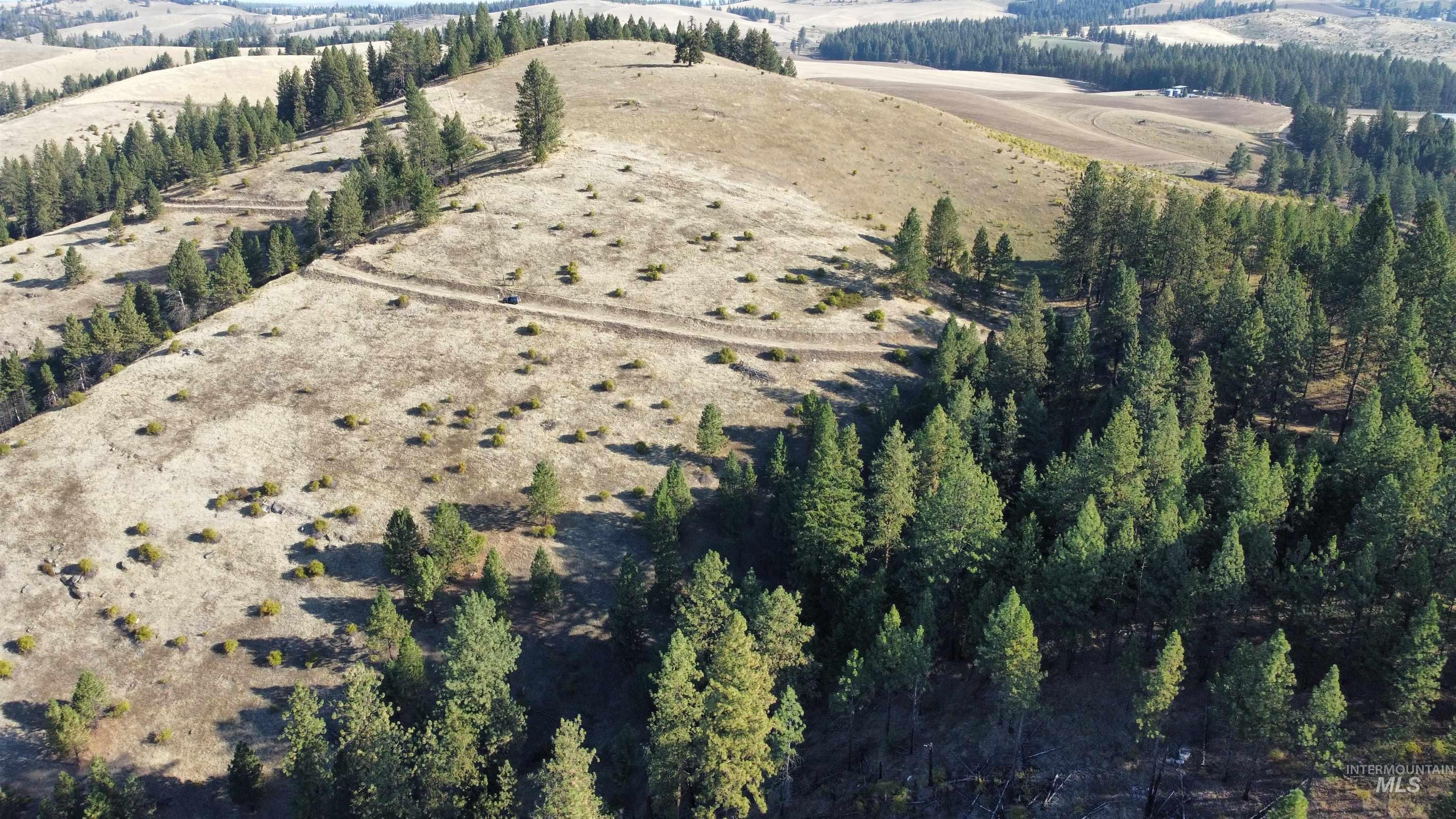 TBD Pardee Road, Kamiah, Idaho 83536, Land For Sale, Price $1,768,000,MLS 98962488