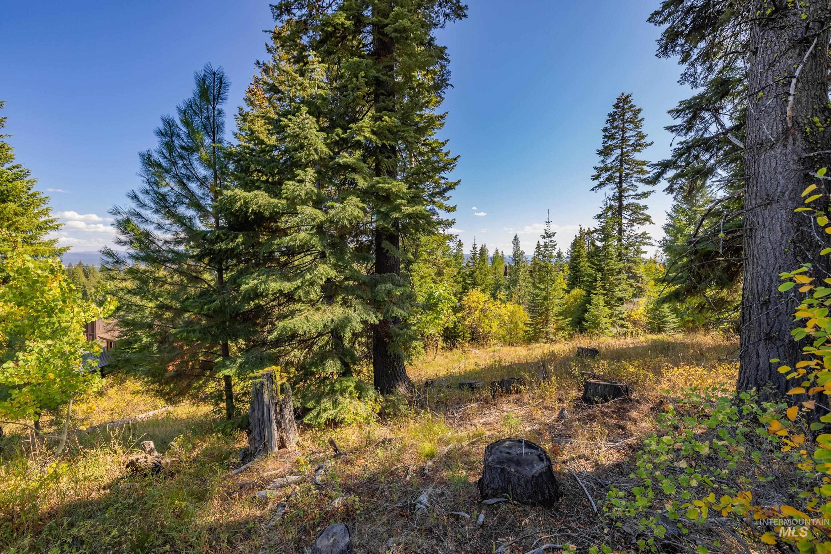 492 Whitewater Drive, Donnelly, Idaho 83615, Land For Sale, Price $519,000, 98962495