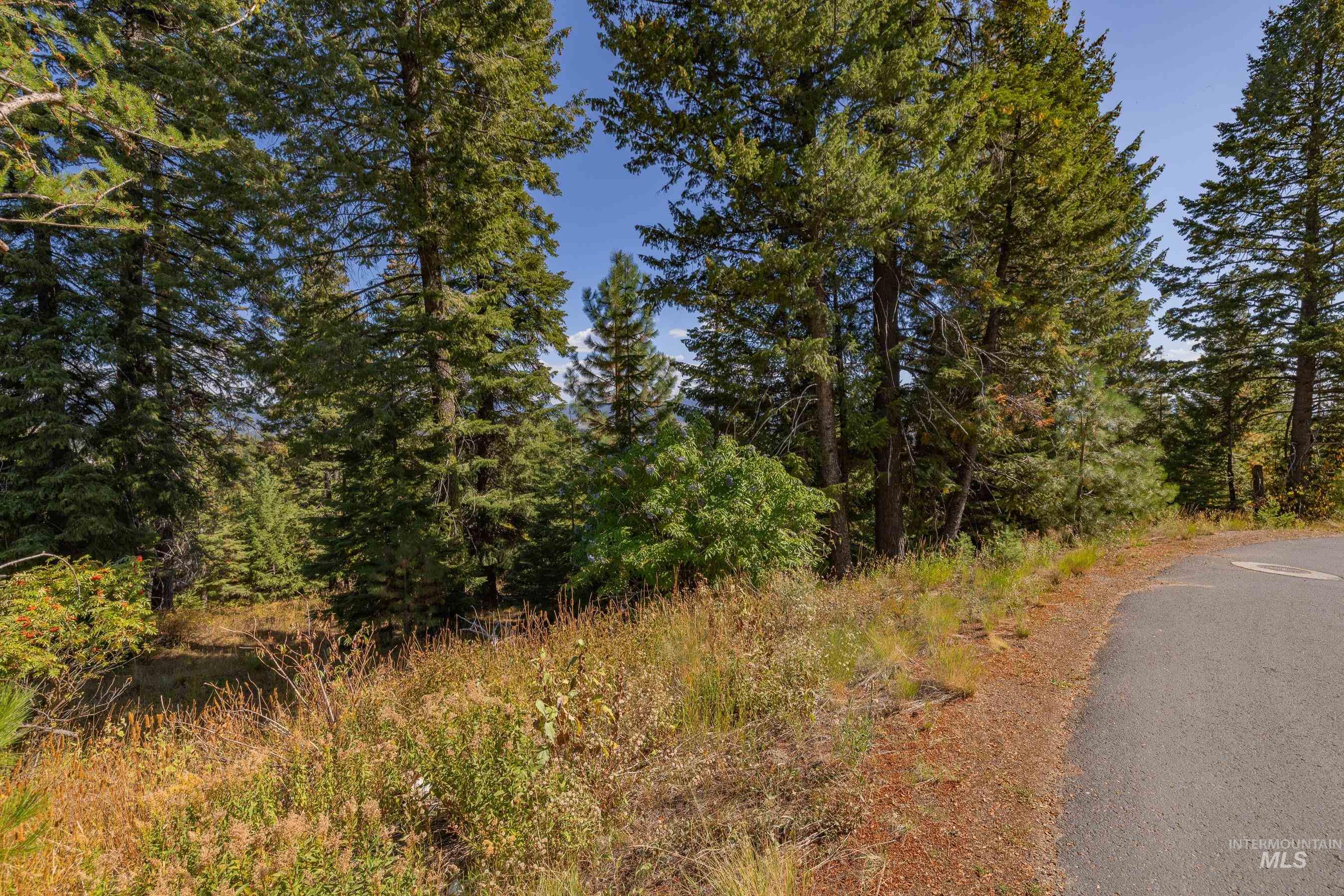 492 Whitewater Drive, Donnelly, Idaho 83615, Land For Sale, Price $519,000, 98962495