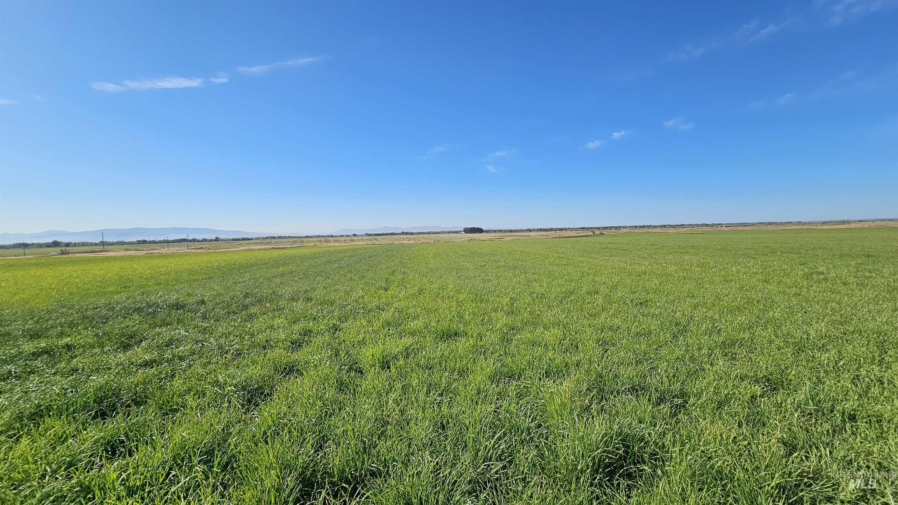 1655 W 1000 S, Pingree, Idaho 83262, 4 Bedrooms, 1 Bathroom, Farm & Ranch For Sale, Price $2,100,000, 98962602