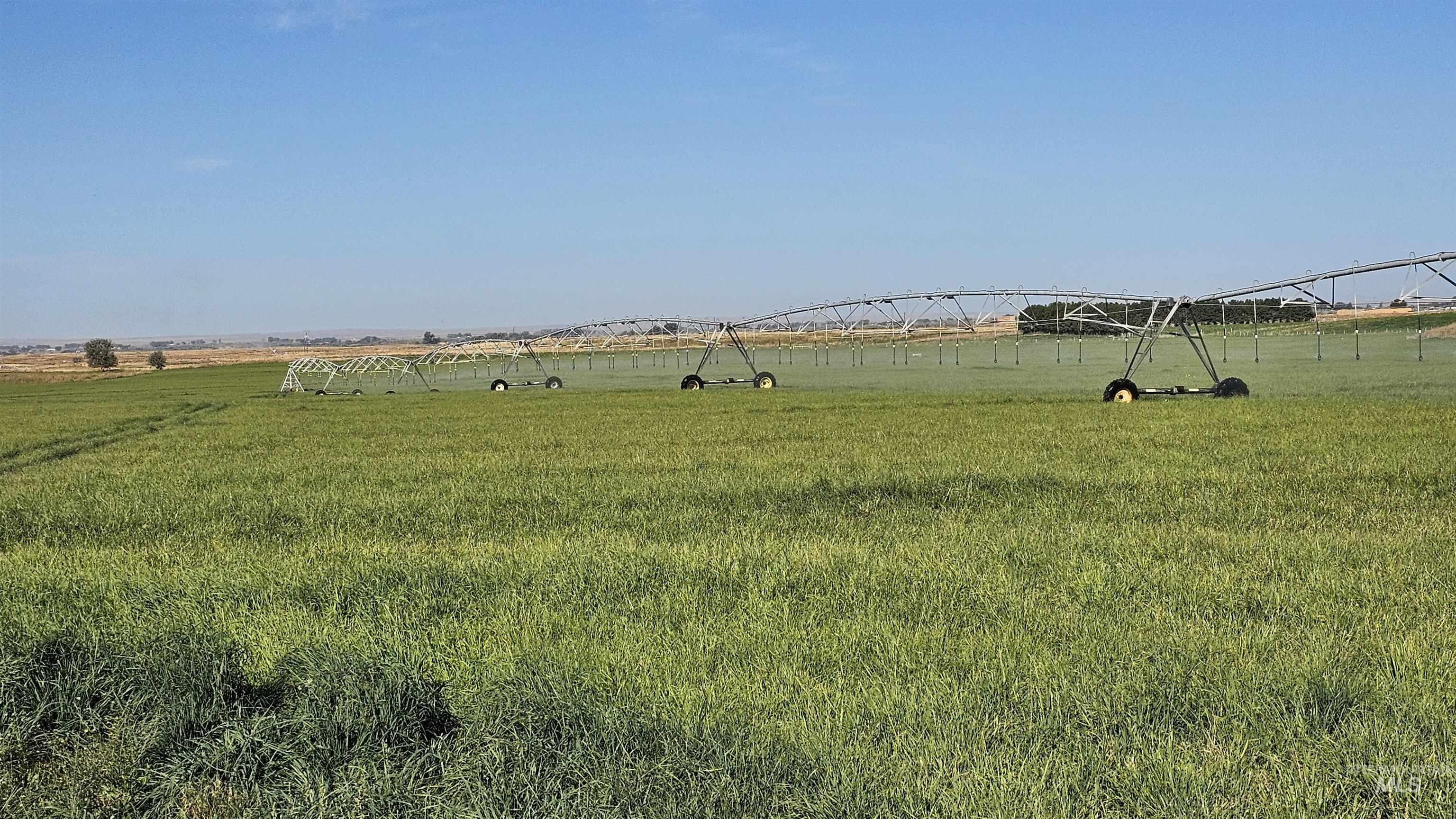 1655 W 1000 S, Pingree, Idaho 83262, 4 Bedrooms, 1 Bathroom, Farm & Ranch For Sale, Price $2,100,000, 98962602