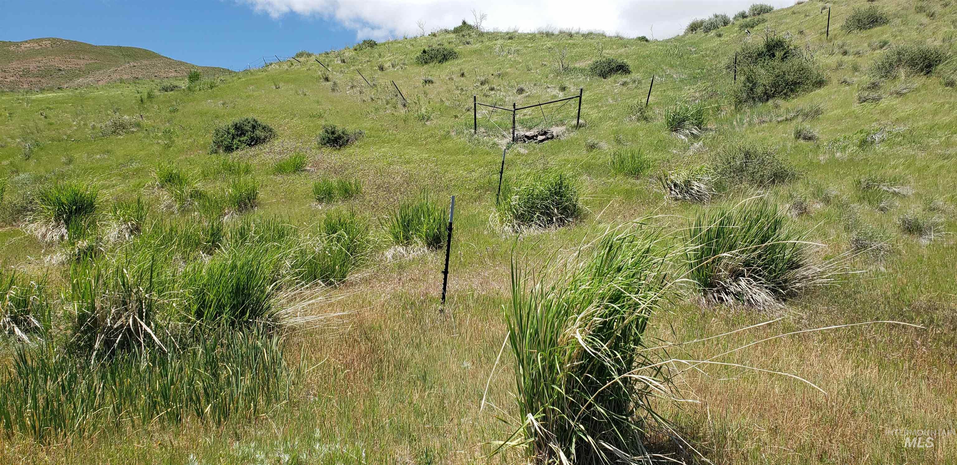 TBD succor creek reservoir, Homedale, Idaho 83628, Land For Sale, Price $350,000,MLS 98962765