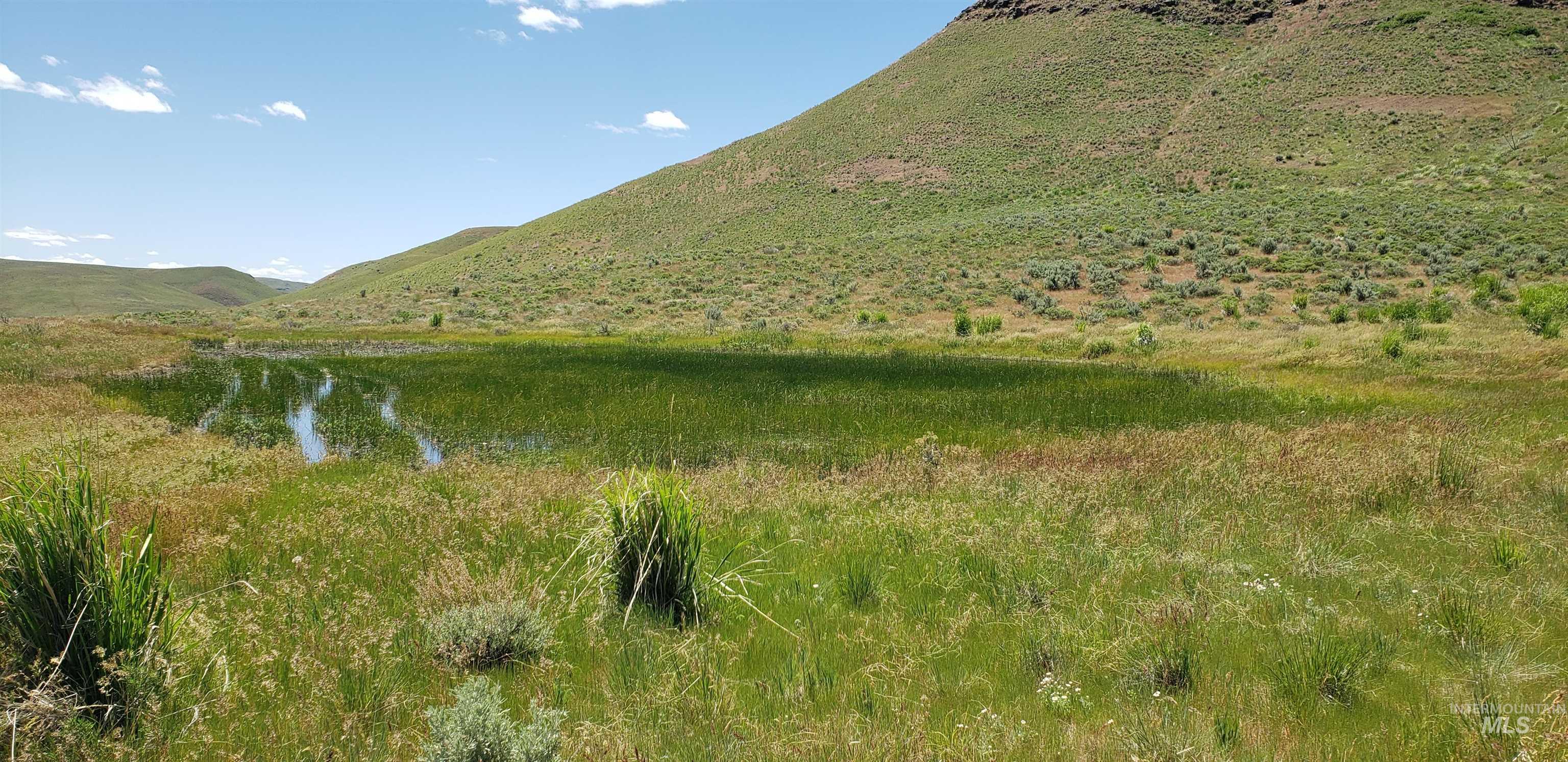 TBD succor creek reservoir, Homedale, Idaho 83628, Land For Sale, Price $350,000,MLS 98962765