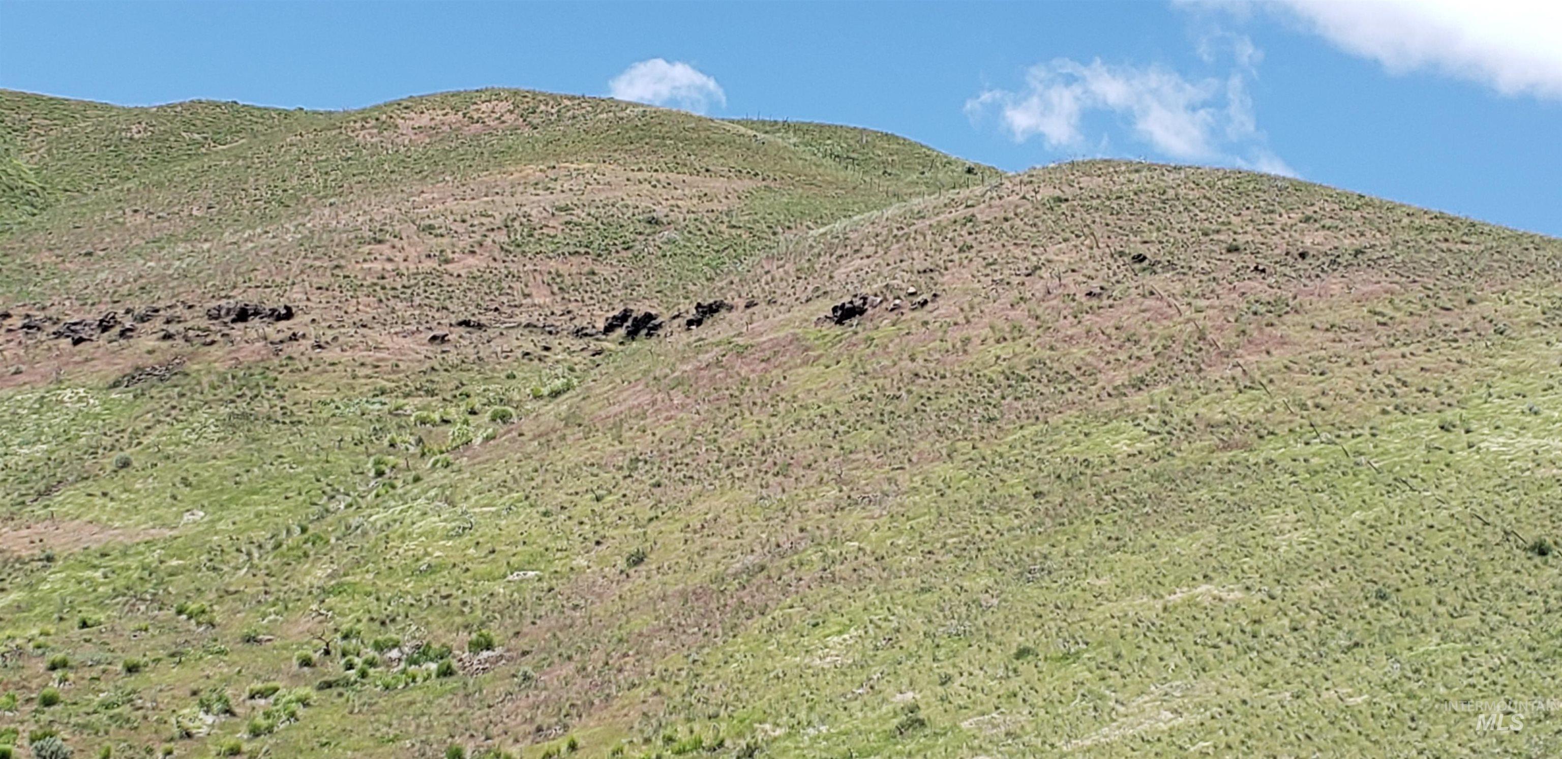 TBD succor creek reservoir, Homedale, Idaho 83628, Land For Sale, Price $350,000,MLS 98962765