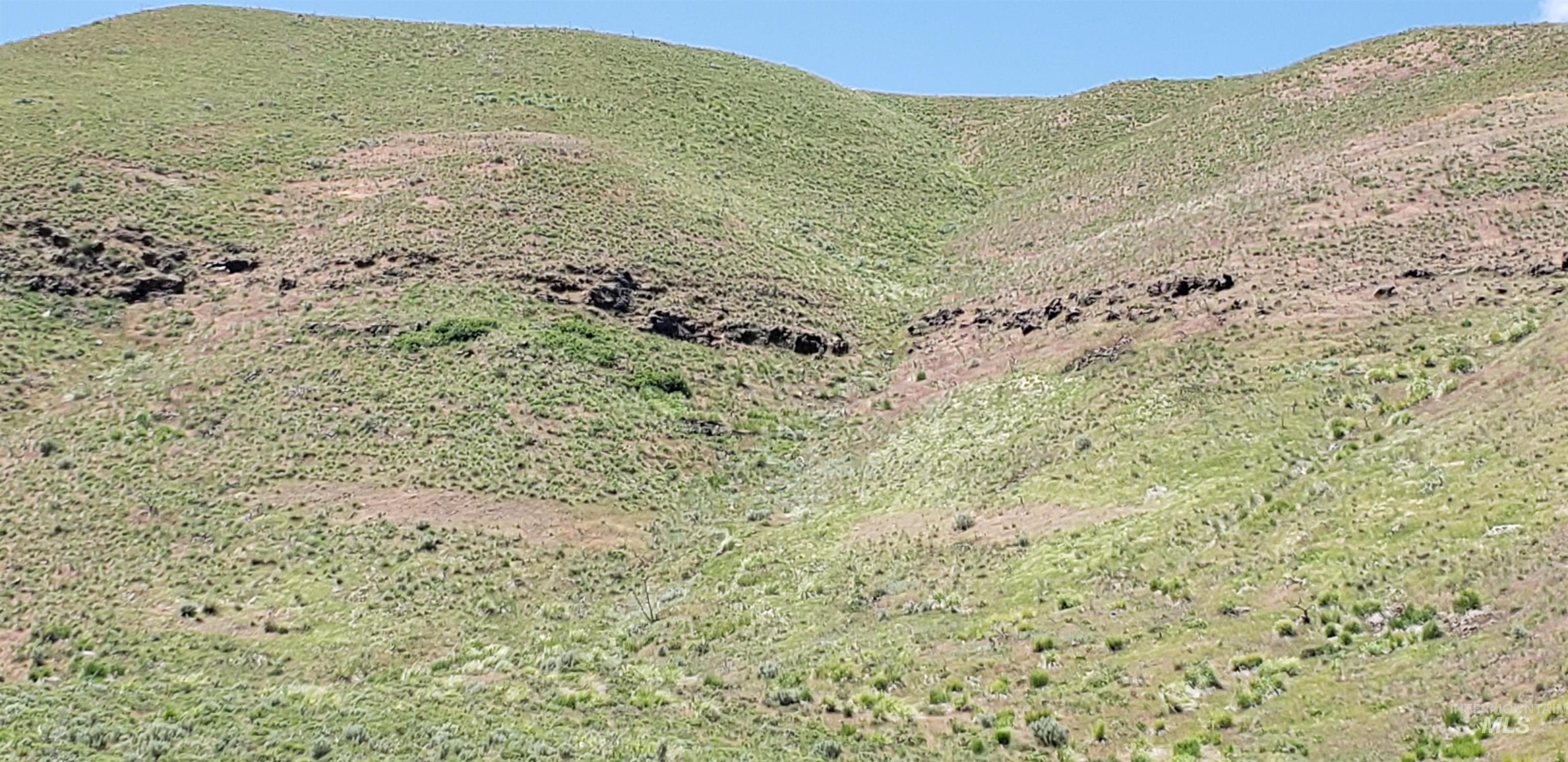 TBD succor creek reservoir, Homedale, Idaho 83628, Land For Sale, Price $350,000,MLS 98962765