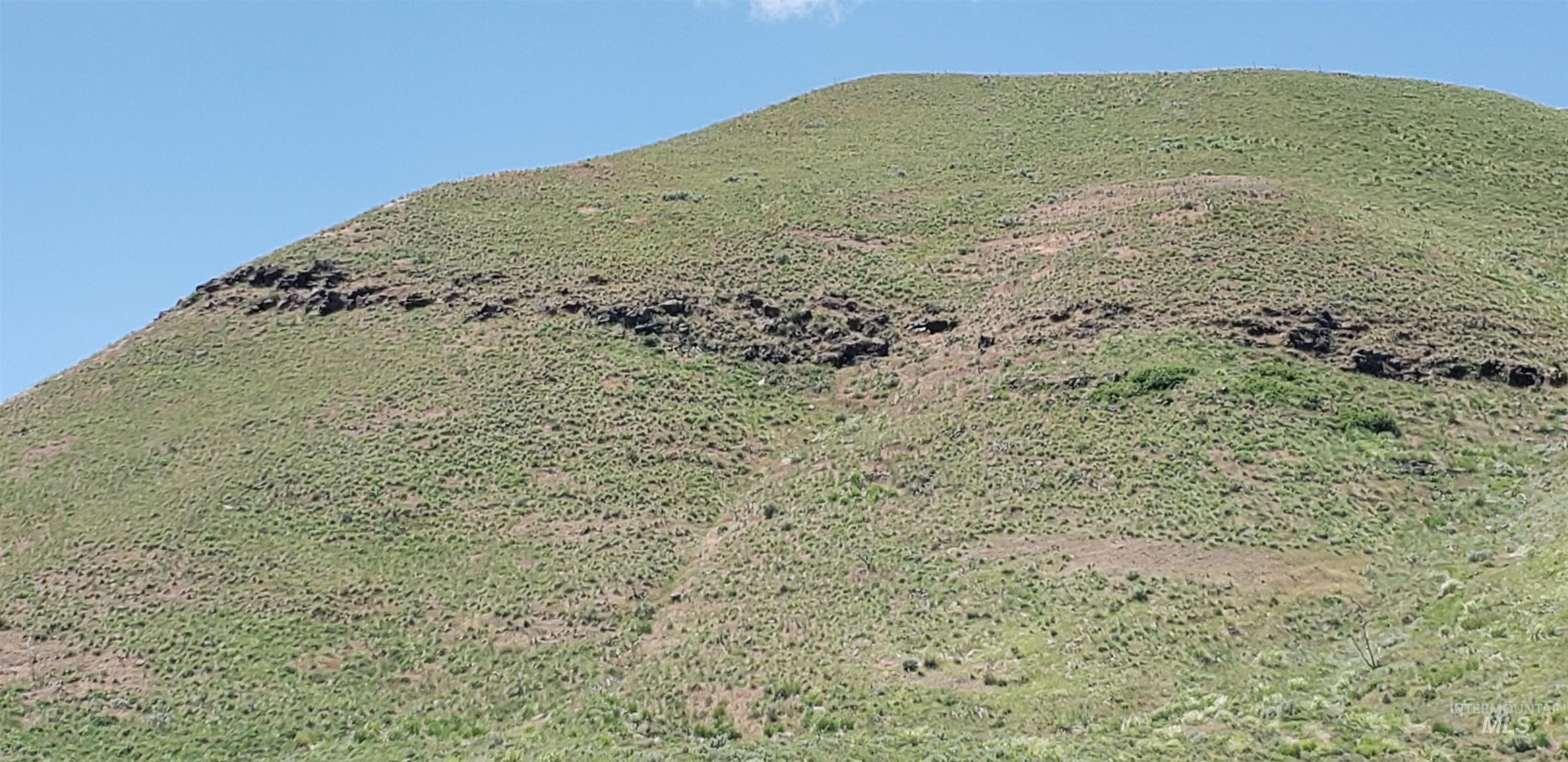 TBD succor creek reservoir, Homedale, Idaho 83628, Land For Sale, Price $350,000,MLS 98962765
