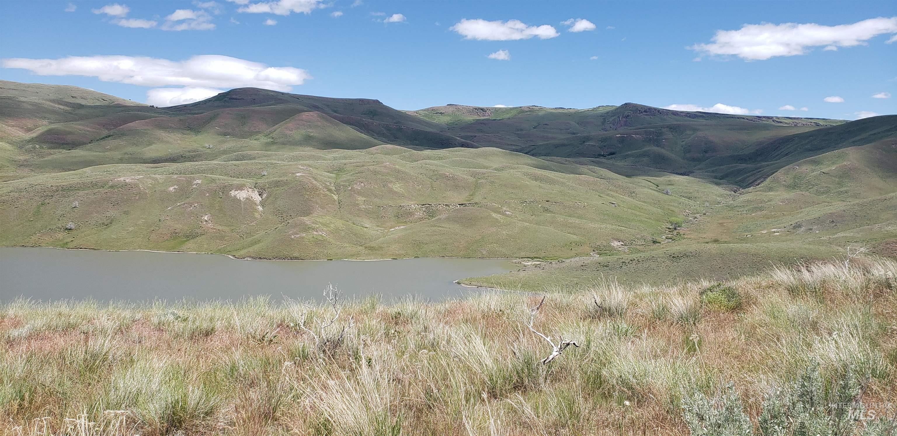 TBD succor creek reservoir, Homedale, Idaho 83628, Land For Sale, Price $350,000,MLS 98962765