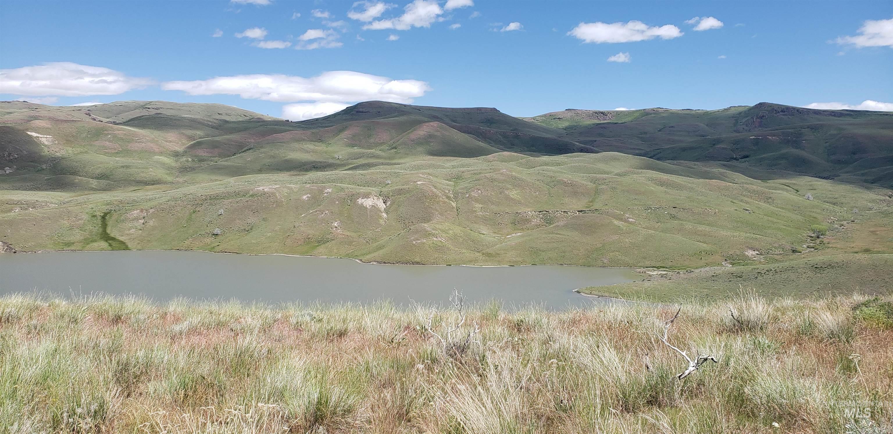 TBD succor creek reservoir, Homedale, Idaho 83628, Land For Sale, Price $350,000,MLS 98962765