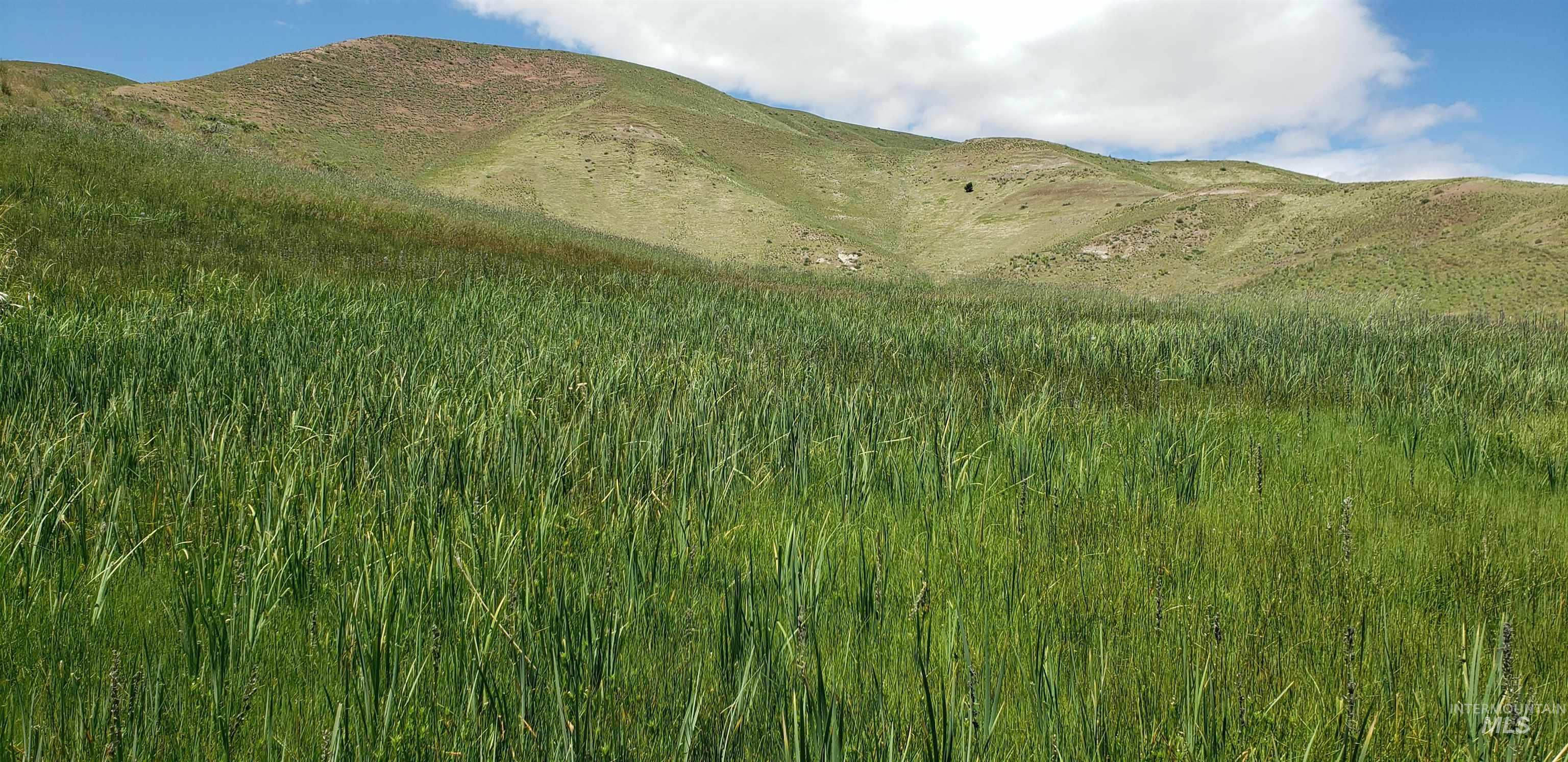 TBD succor creek reservoir, Homedale, Idaho 83628, Land For Sale, Price $350,000,MLS 98962765
