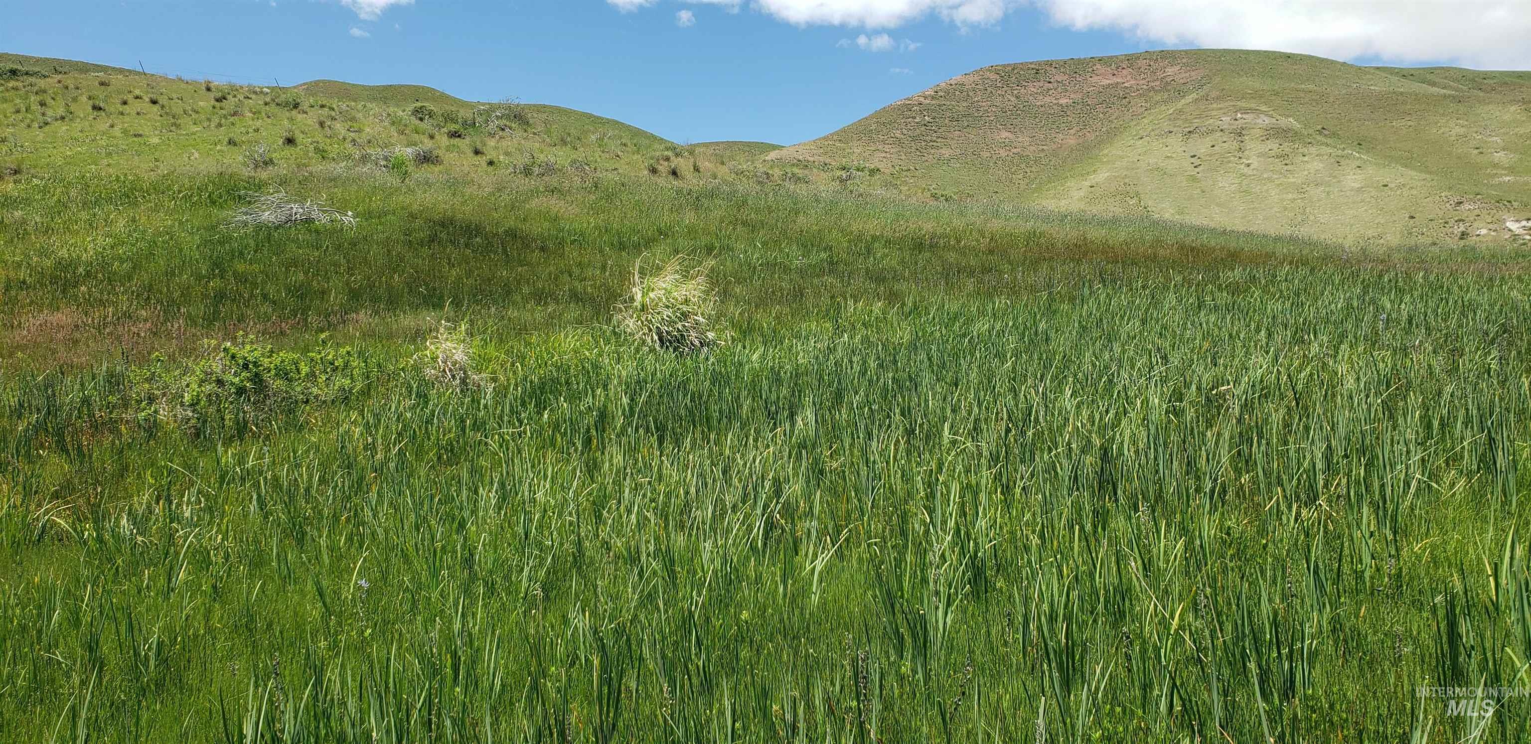 TBD succor creek reservoir, Homedale, Idaho 83628, Land For Sale, Price $350,000,MLS 98962765
