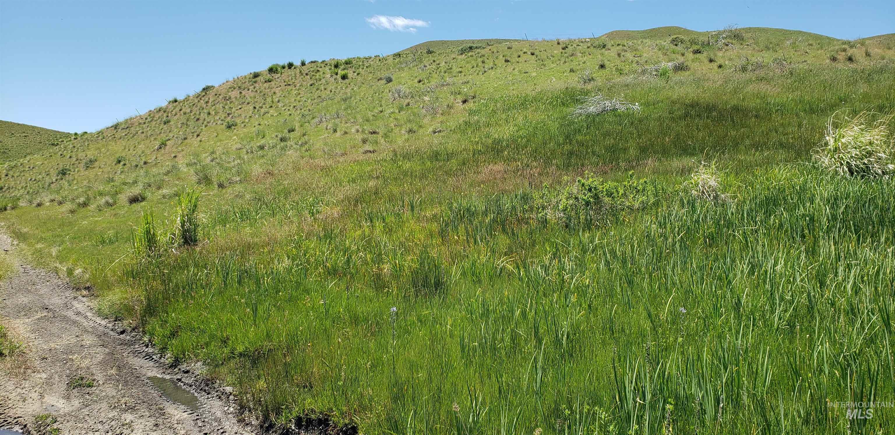TBD succor creek reservoir, Homedale, Idaho 83628, Land For Sale, Price $350,000,MLS 98962765
