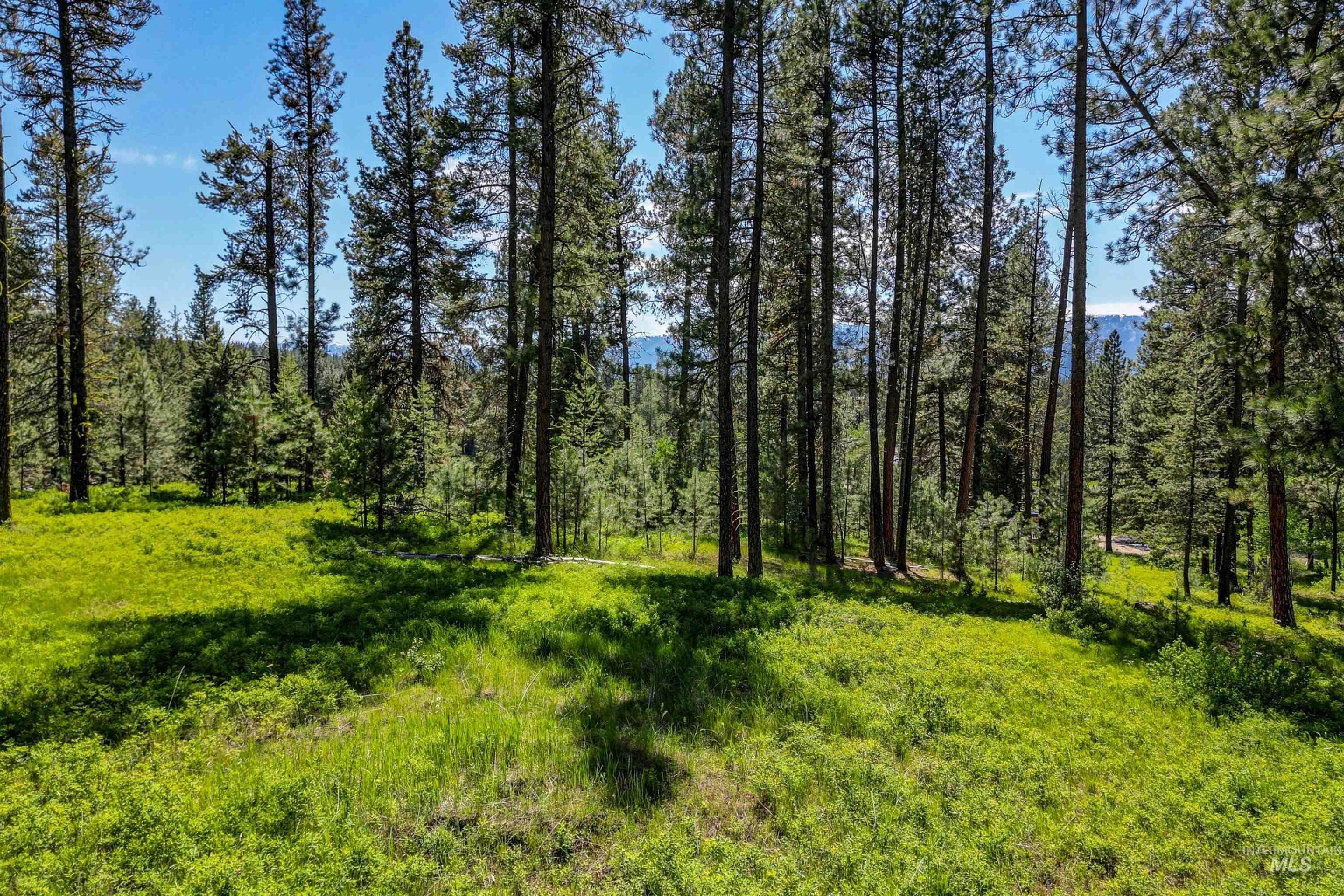 Lot 3 Hideout Road, Donnelly, Idaho 83615, Land For Sale, Price $150,000, 98962884