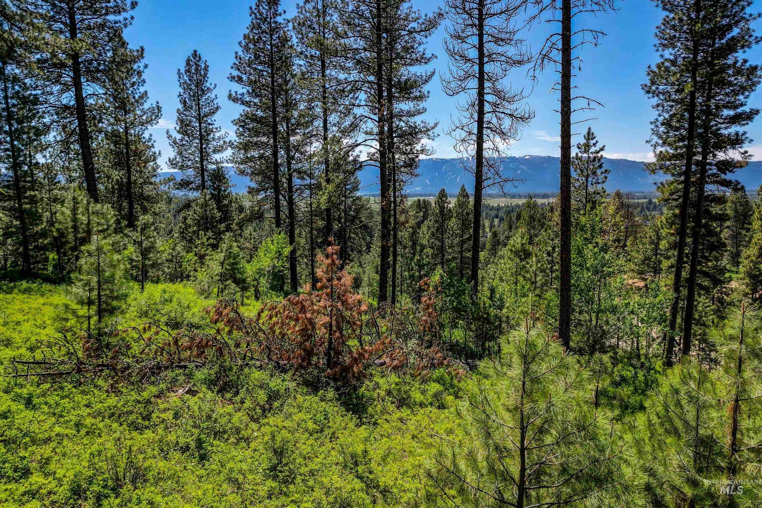 Lot 4 Hideout Road, Donnelly, Idaho 83615, Land For Sale, Price $275,000, 98962885