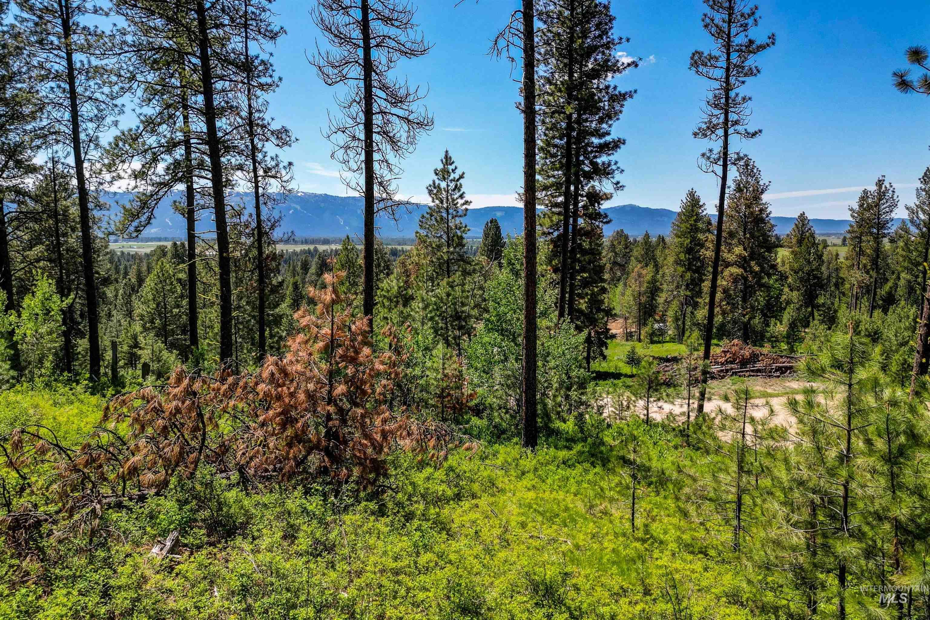 Lot 5 Hideout Road, Donnelly, Idaho 83615, Land For Sale, Price $295,000, 98962886