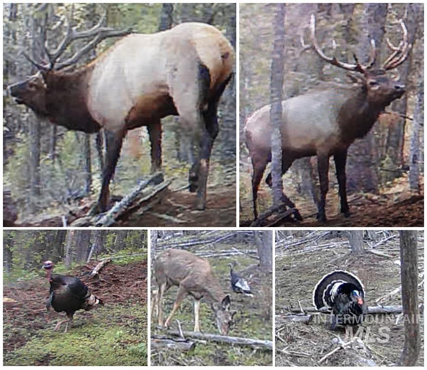 TBD Clear Creek Road, Boise, Idaho 83716, Land For Sale, Price $777,000,MLS 98962930