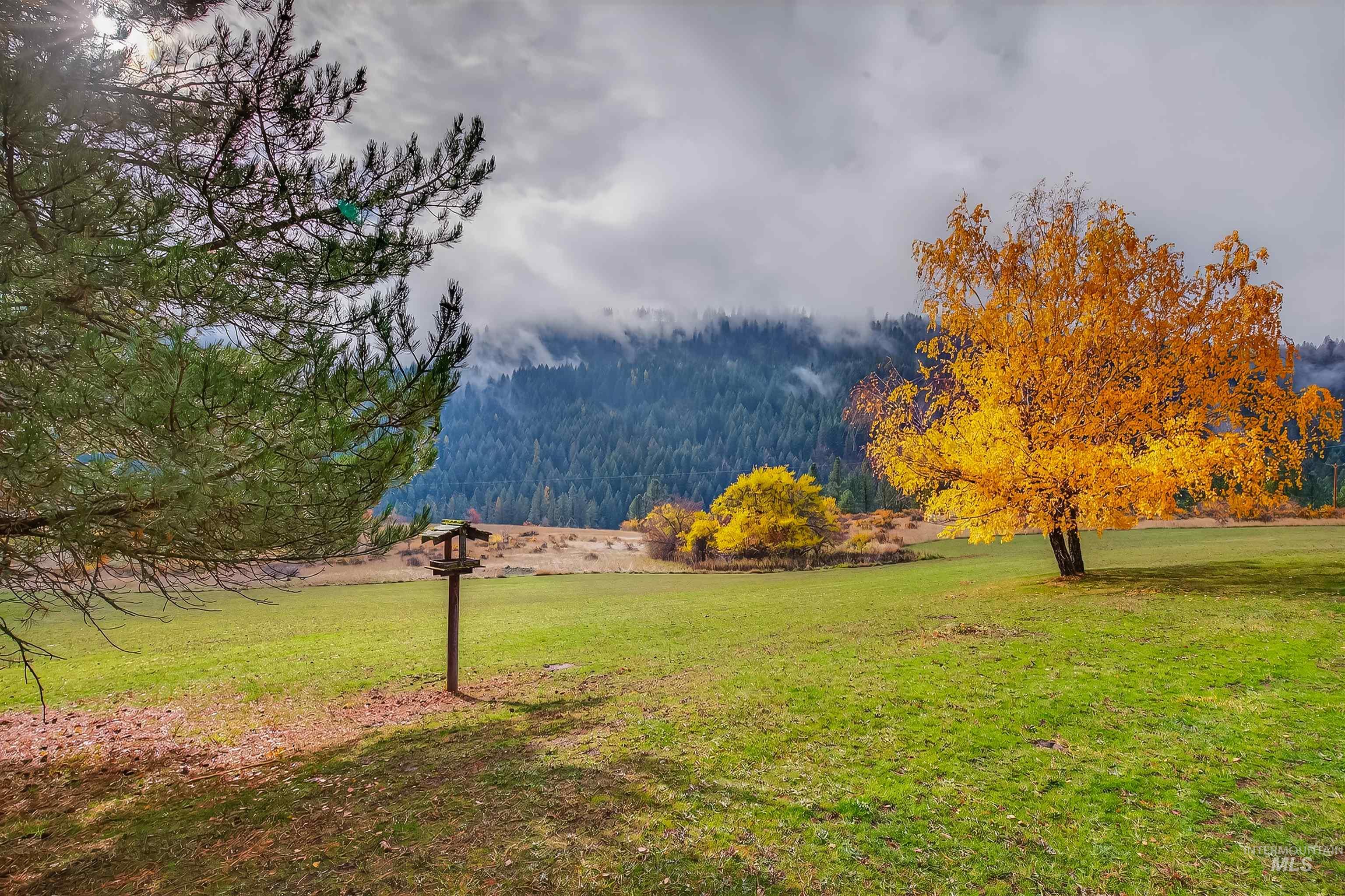 1383 Cedar Ridge Rd, Kendrick, Idaho 83537, 3 Bedrooms, 2 Bathrooms, Residential For Sale, Price $660,000,MLS 98963047