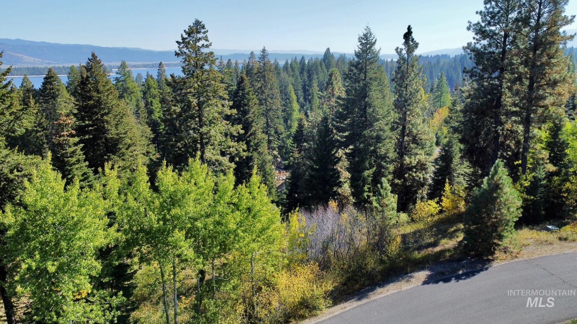 18 Clearwater Court, Donnelly, Idaho 83615, Land For Sale, Price $290,000,MLS 98963056