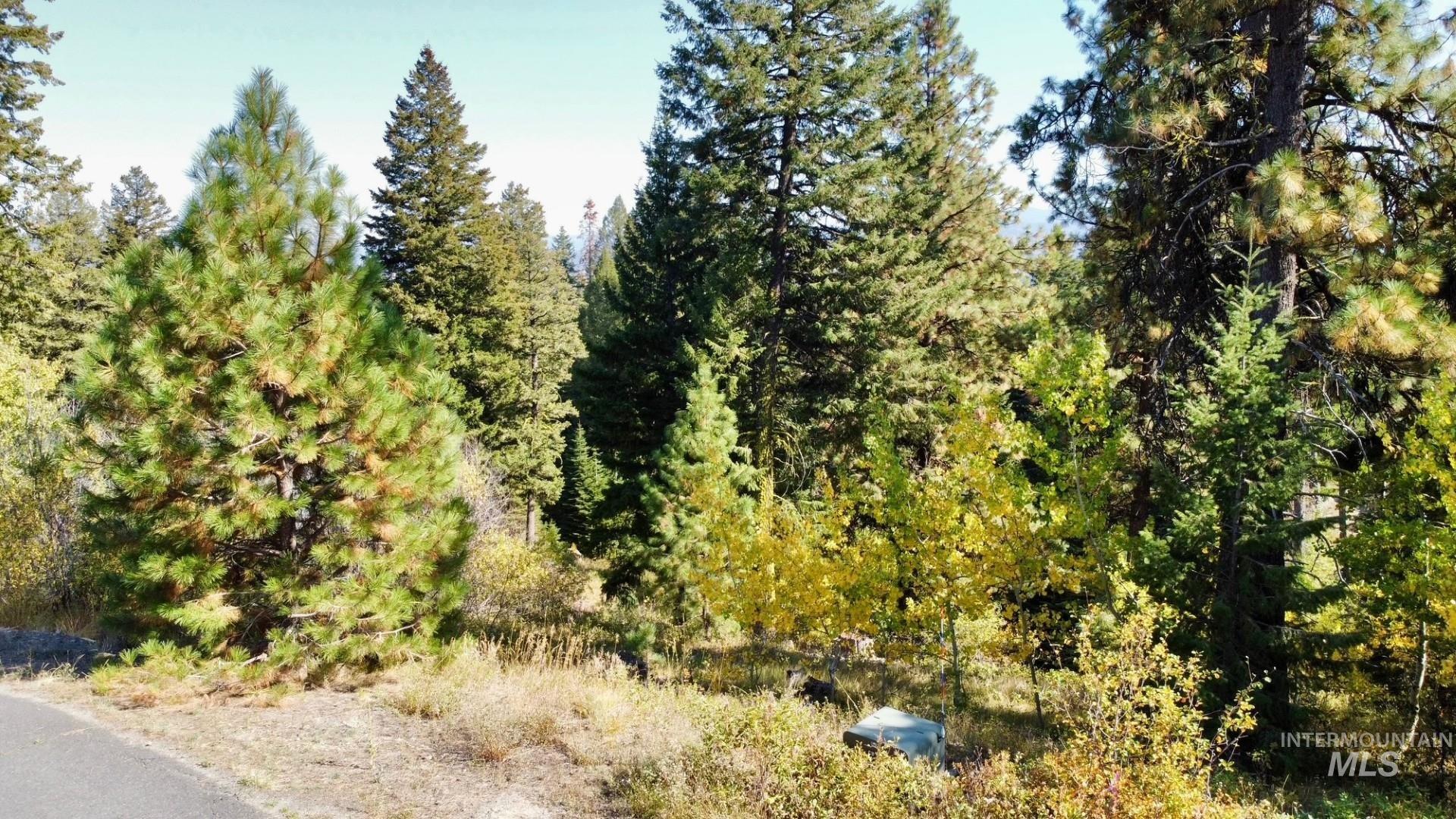 18 Clearwater Court, Donnelly, Idaho 83615, Land For Sale, Price $290,000,MLS 98963056