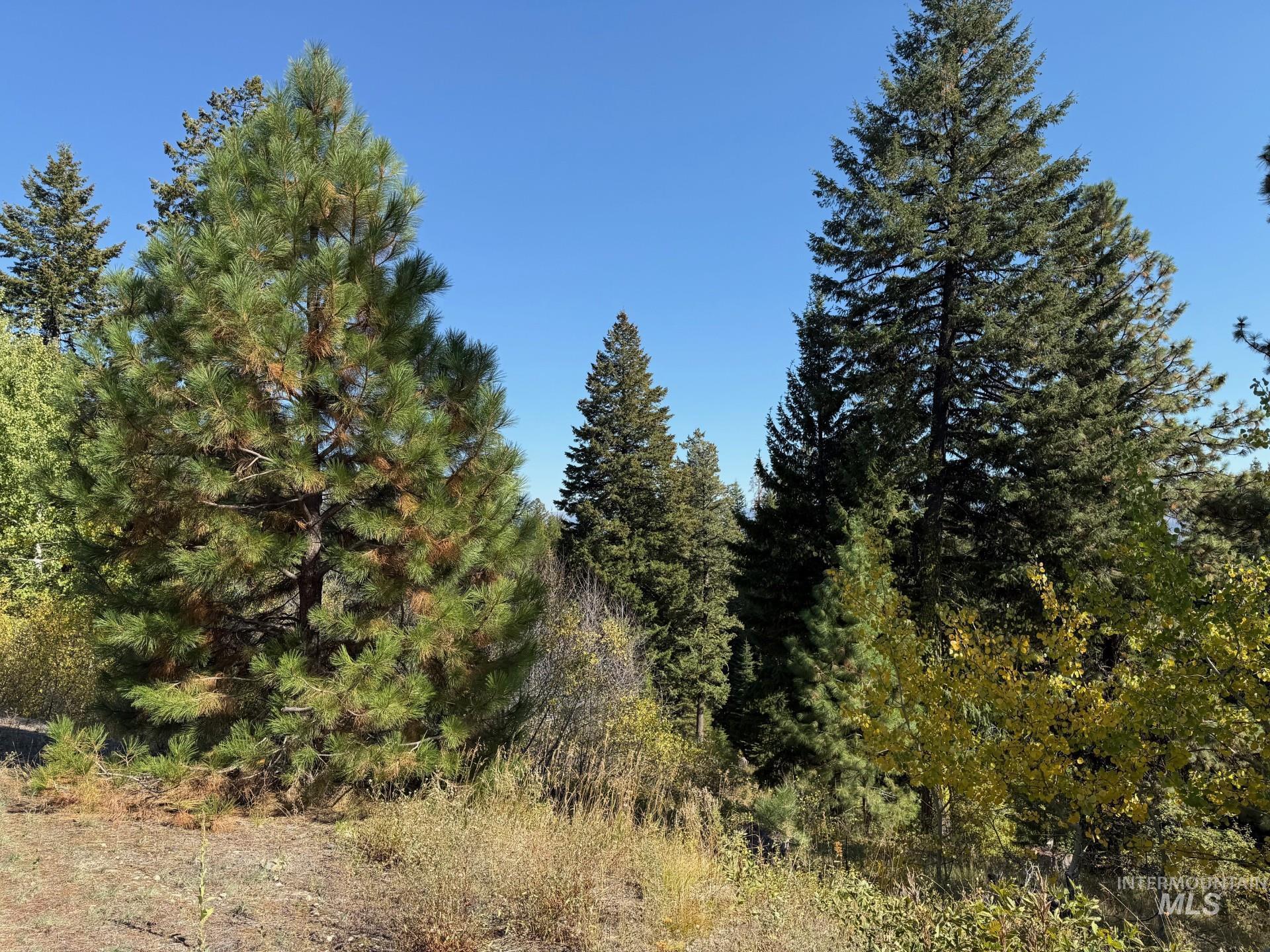 18 Clearwater Court, Donnelly, Idaho 83615, Land For Sale, Price $290,000,MLS 98963056