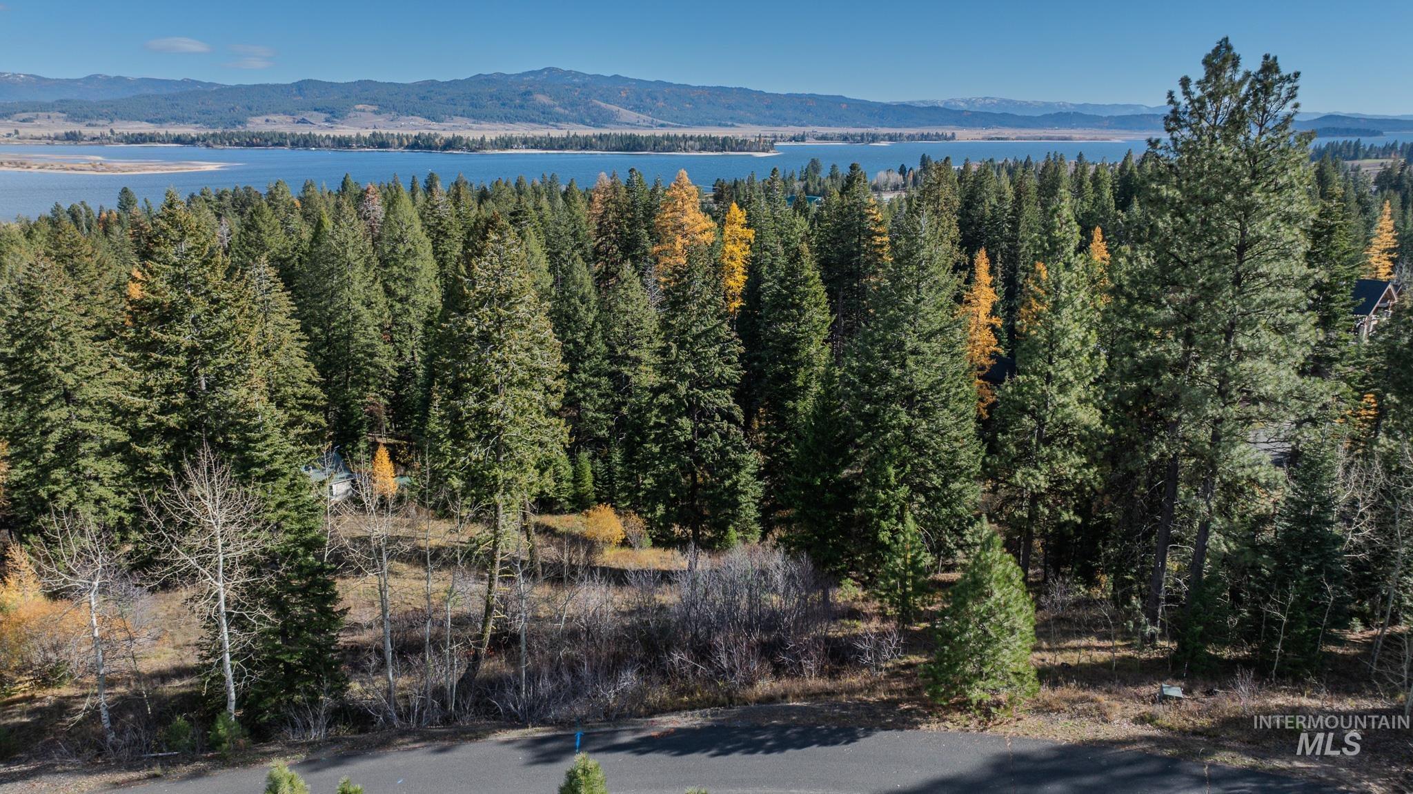 18 Clearwater Court, Donnelly, Idaho 83615, Land For Sale, Price $290,000,MLS 98963056