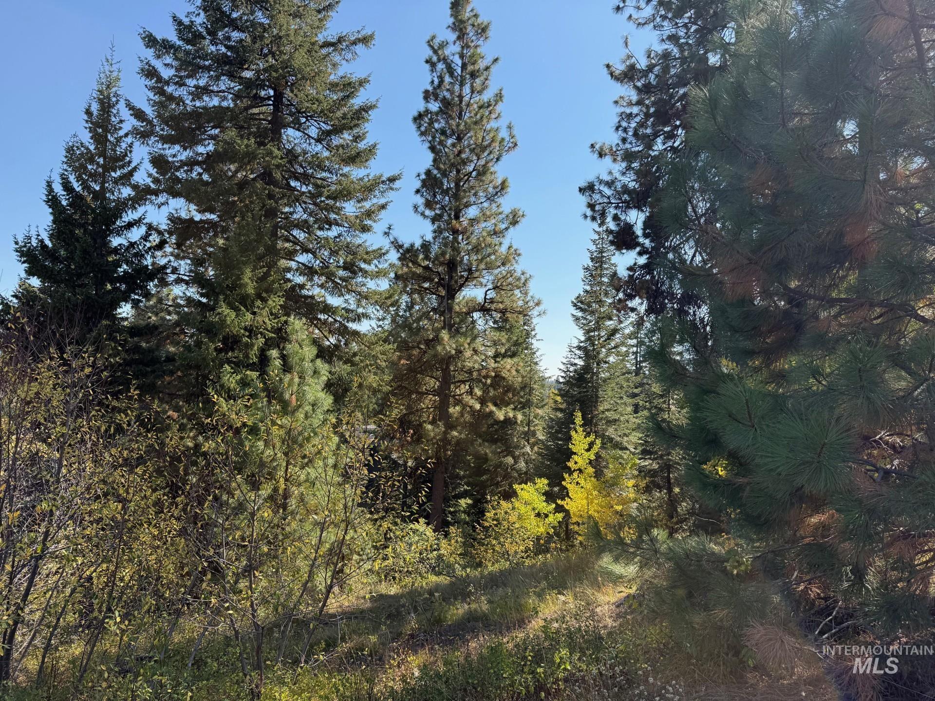 18 Clearwater Court, Donnelly, Idaho 83615, Land For Sale, Price $290,000,MLS 98963056