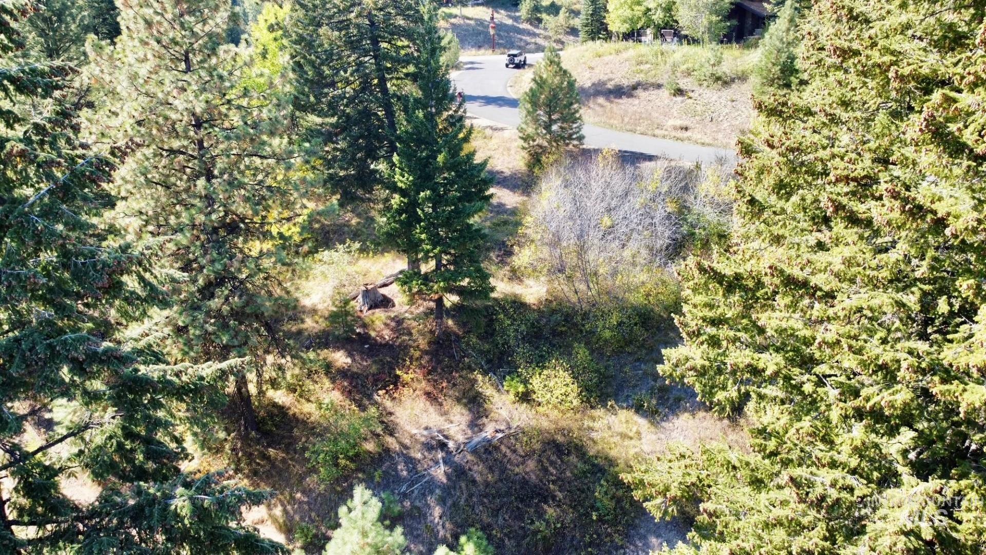 18 Clearwater Court, Donnelly, Idaho 83615, Land For Sale, Price $290,000,MLS 98963056
