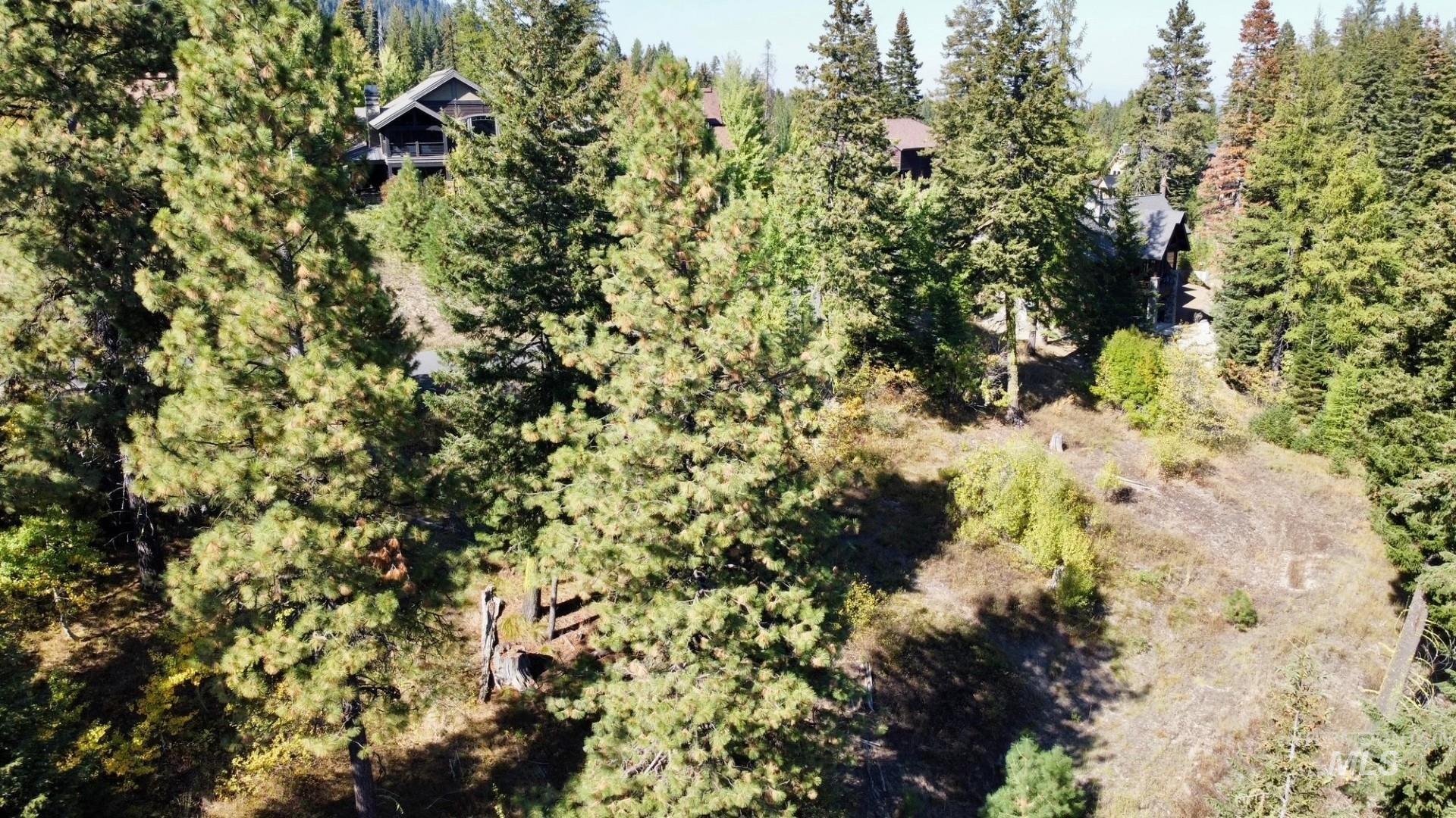 18 Clearwater Court, Donnelly, Idaho 83615, Land For Sale, Price $290,000,MLS 98963056