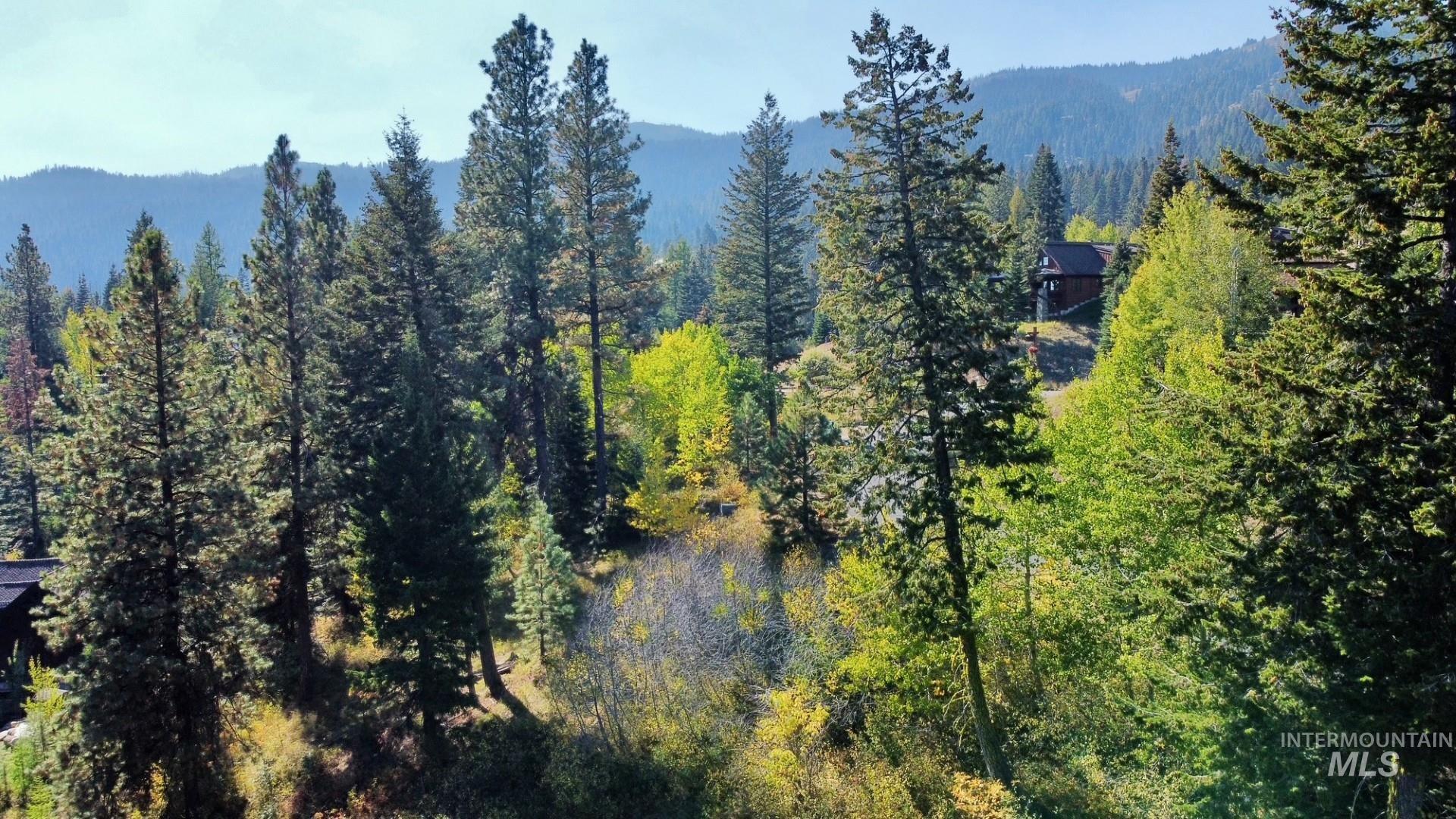 18 Clearwater Court, Donnelly, Idaho 83615, Land For Sale, Price $290,000,MLS 98963056