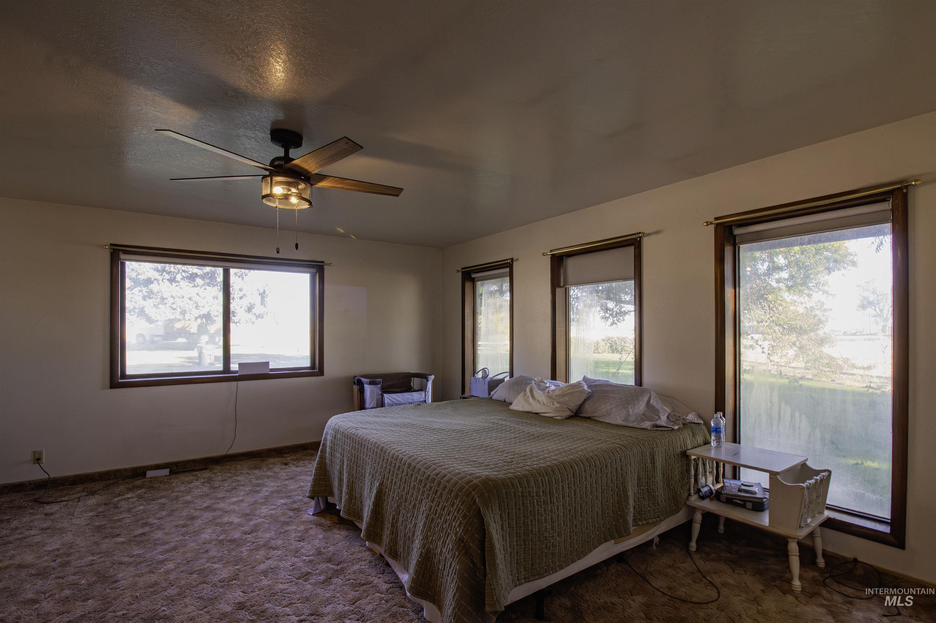 Carpeted bedroom featuring multiple windows, a ceiling fan, and a textured ceiling