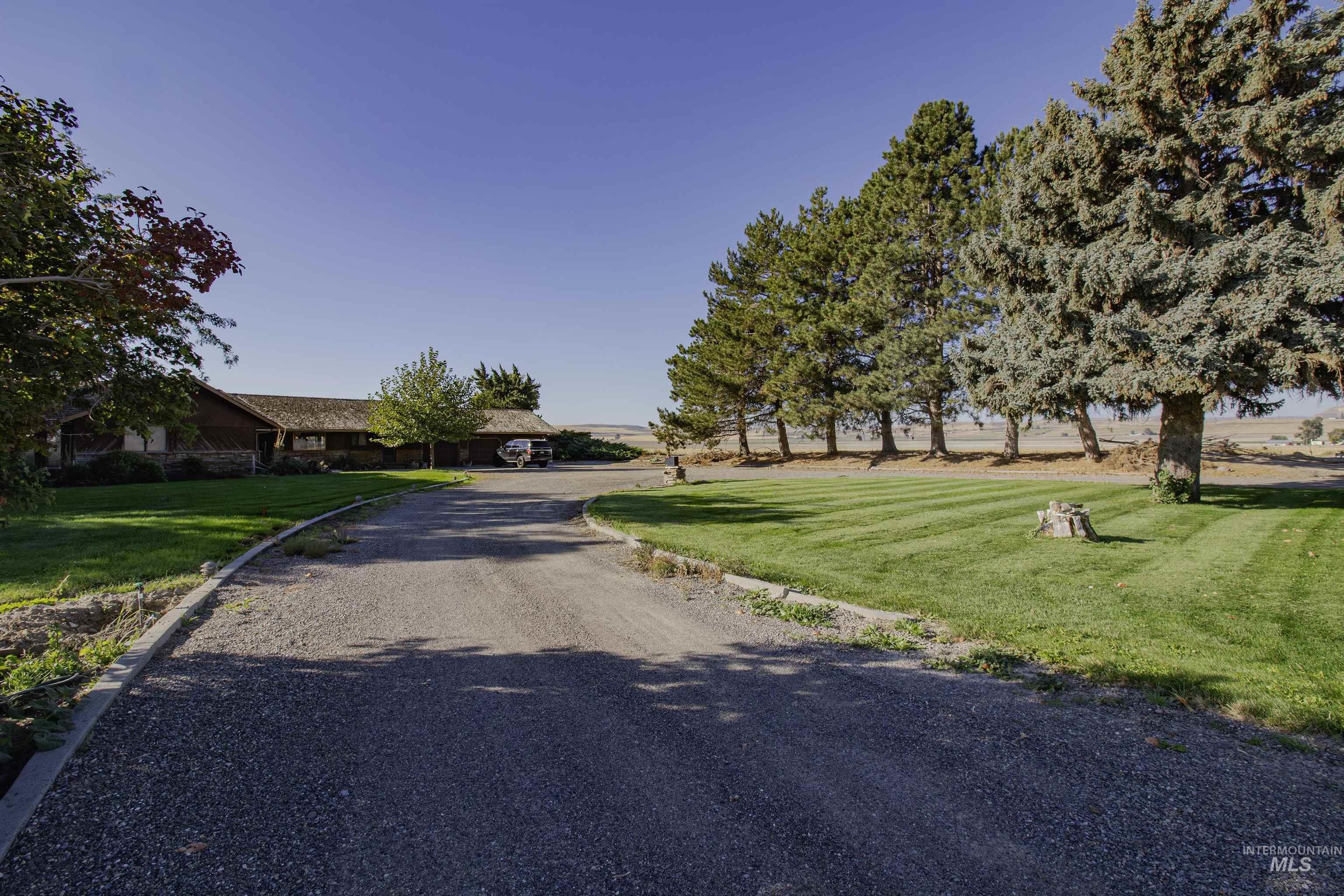 View of dirt / gravel driveway