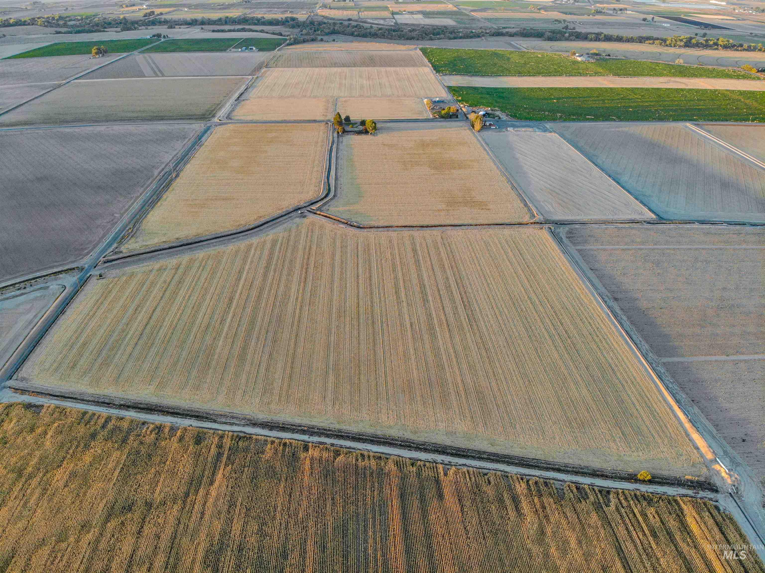 Overview of rural landscape featuring farmland