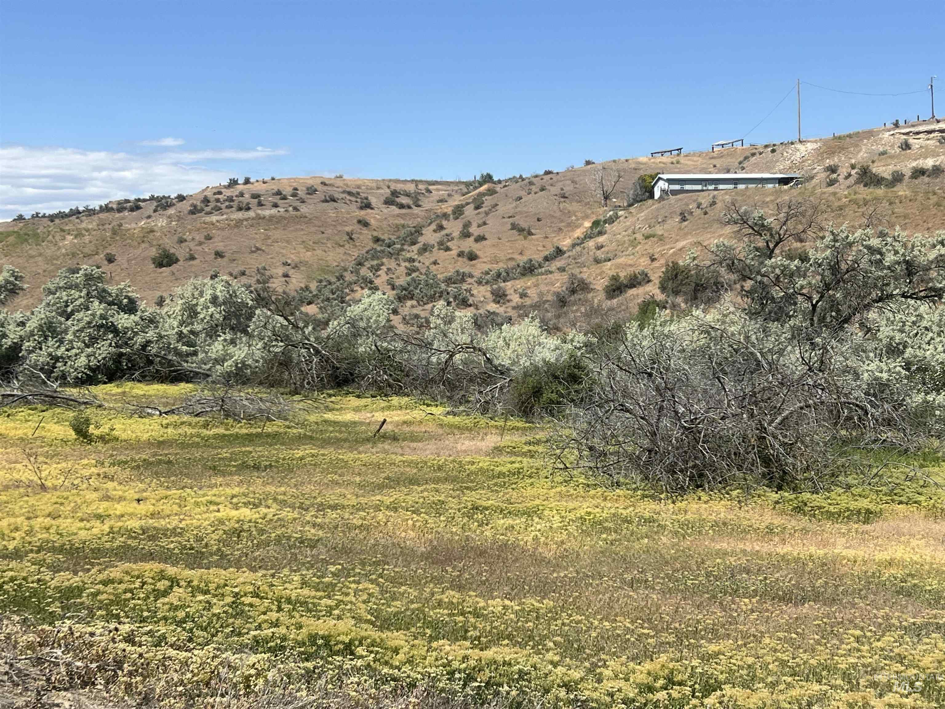 4417 Oak Road, Ontario, Oregon 97914, 3 Bedrooms, 2 Bathrooms, Farm & Ranch For Sale, Price $850,000,MLS 98963237