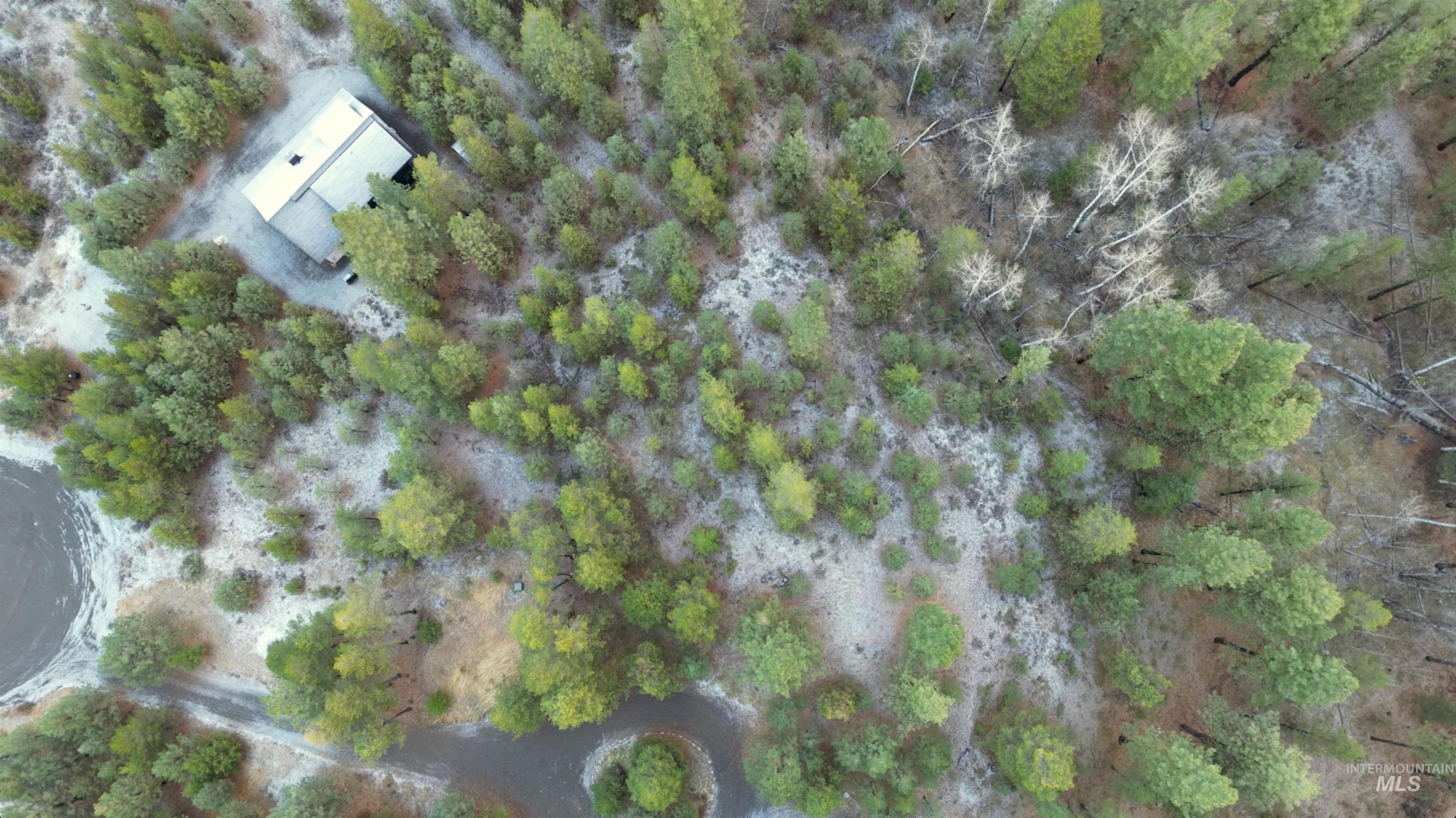 13 Cassia Ct, McCall, Idaho 83638, Land For Sale, Price $245,000,MLS 98963267