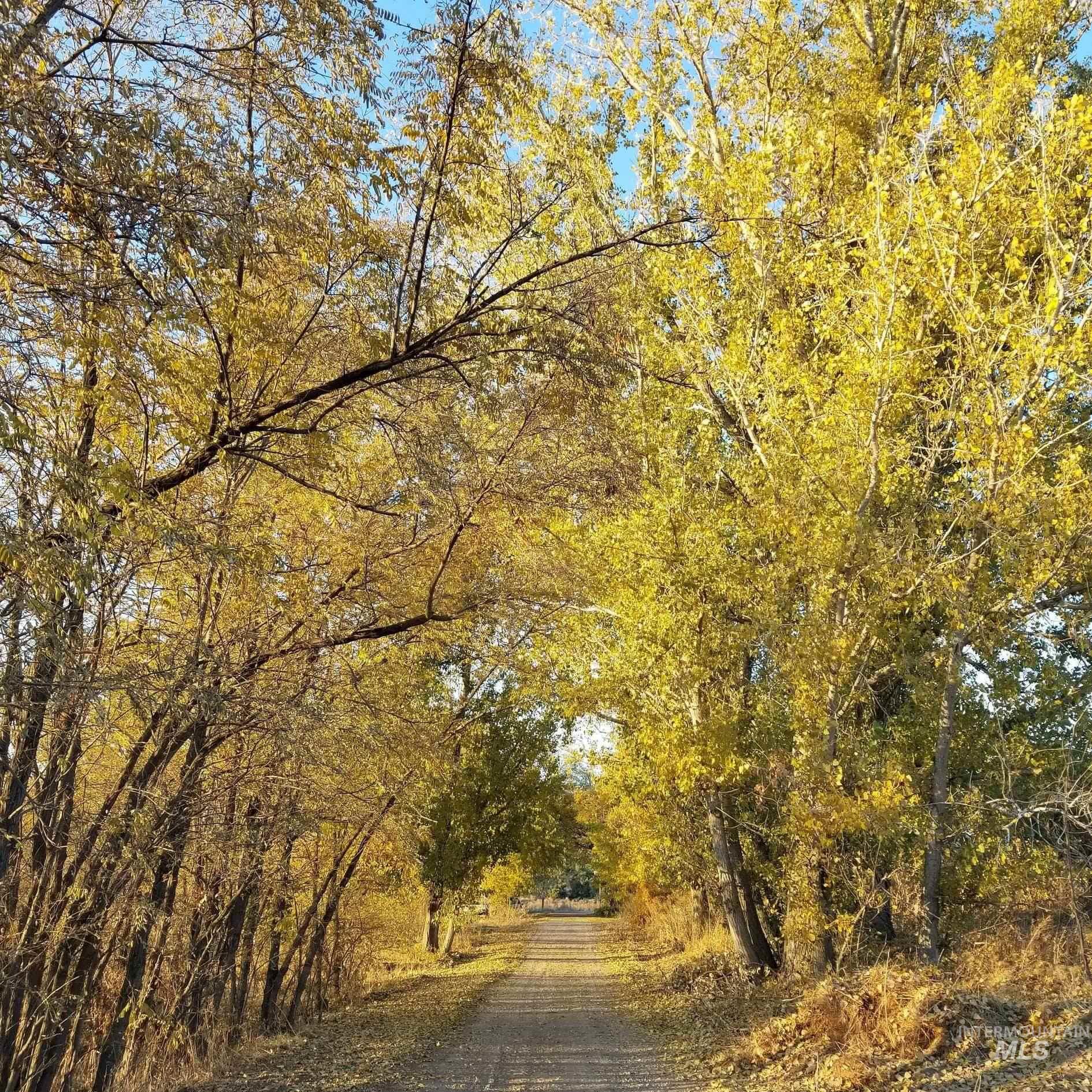 3614 Amity Ave, Nampa, Idaho 83687, 4 Bedrooms, 2.5 Bathrooms, Residential For Sale, Price $2,999,900, 98963272